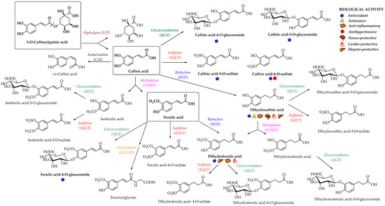 Nutrients 12 02190 g003 550