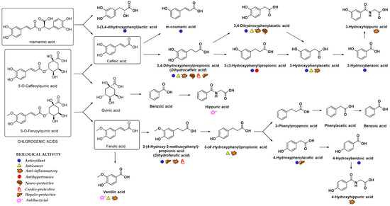 Nutrients 12 02190 g004 550