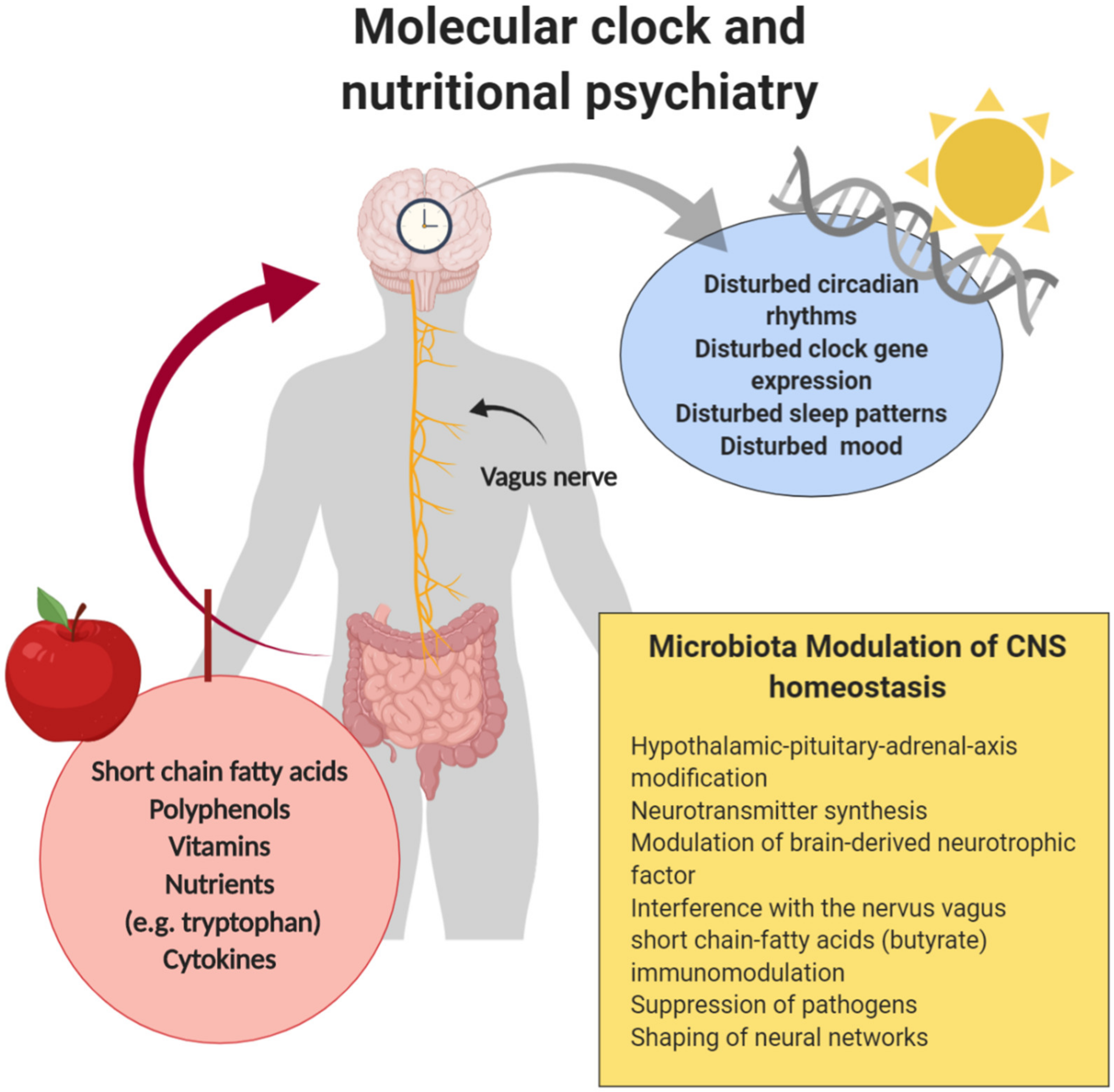 Nutrients 12 02198 g002