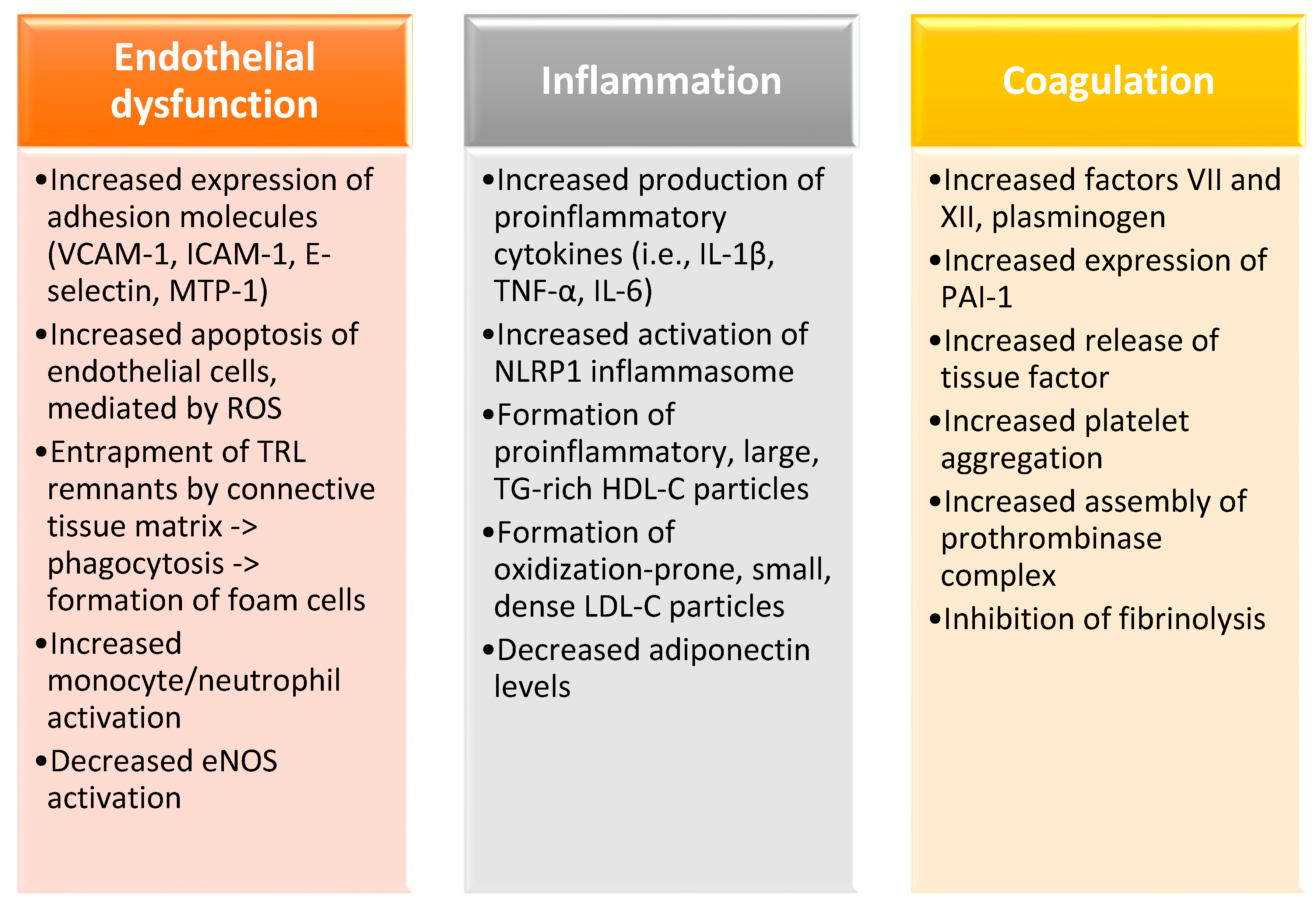 Nutrients 12 02204 g001 Nutrients 12 02204 g001