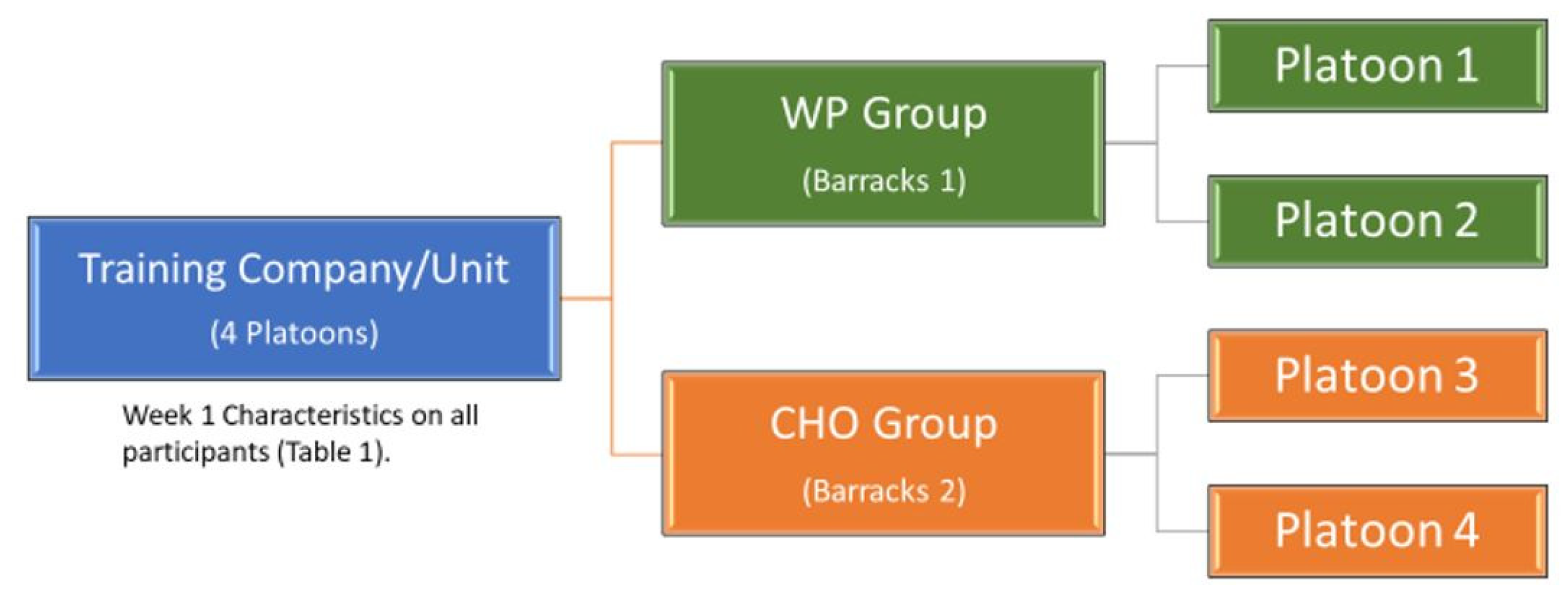 Nutrients 12 02225 g001 Nutrients 12 02225 g001
