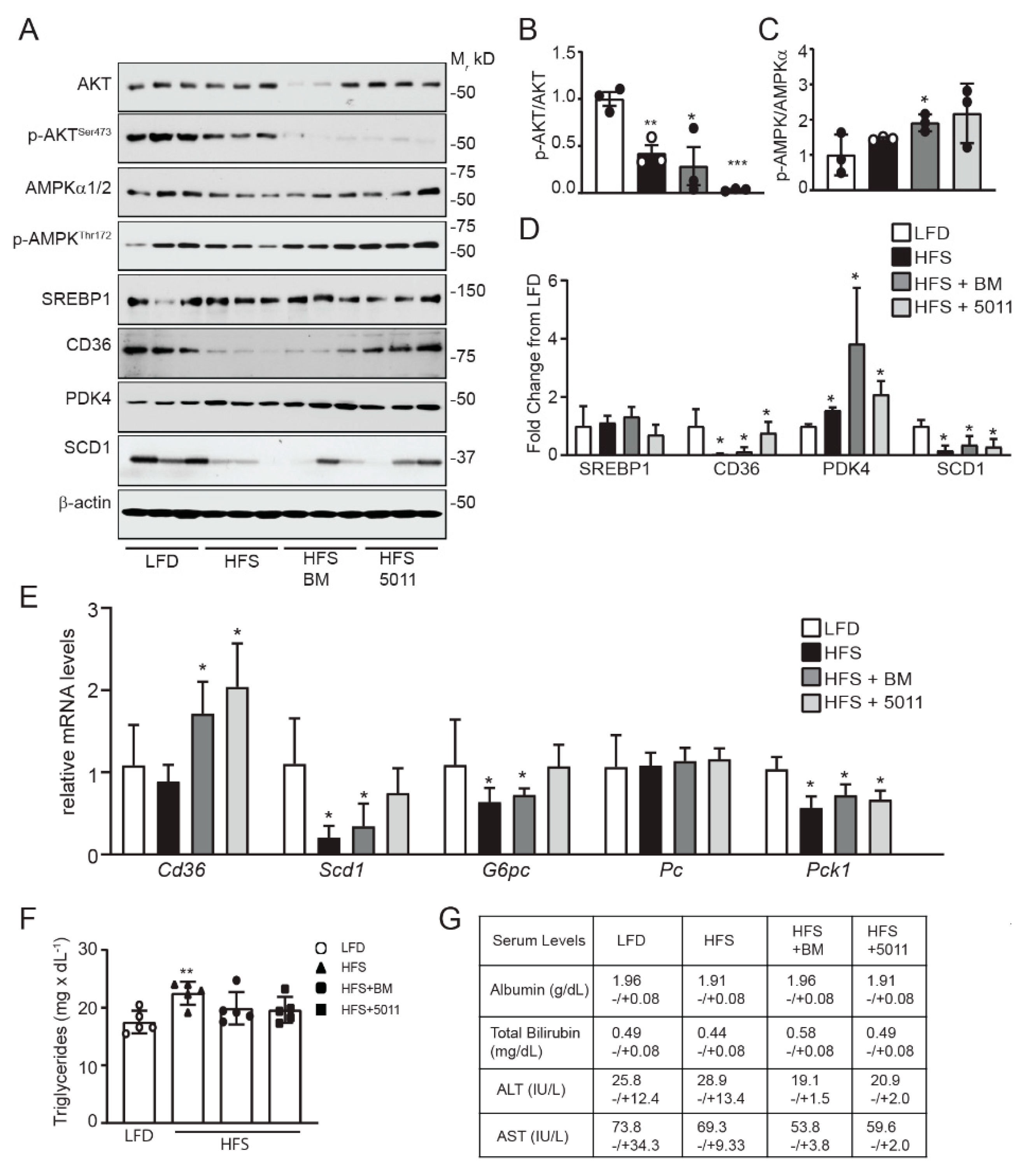 Nutrients 12 02233 g005 Nutrients 12 02233 g005