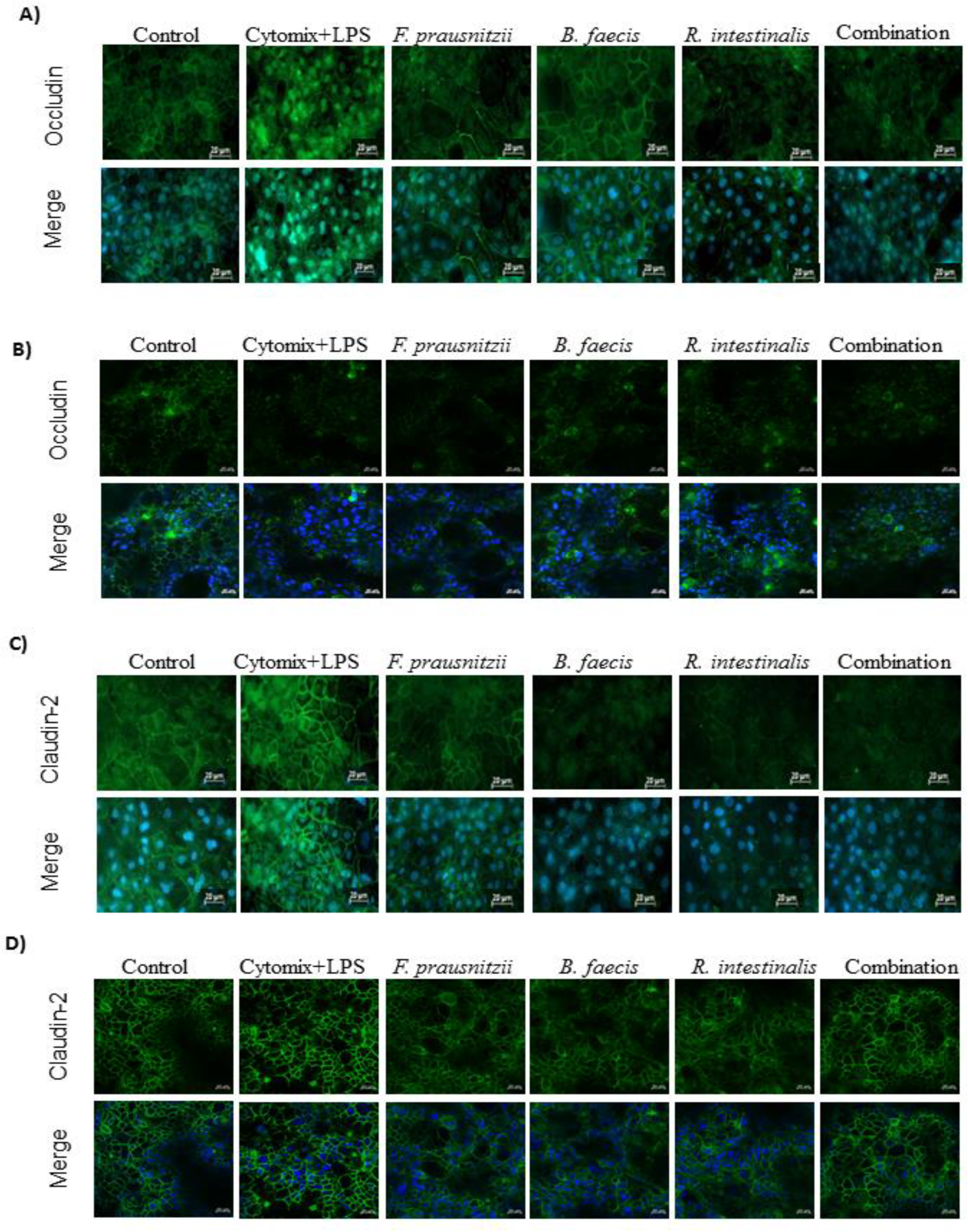 Nutrients 12 02251 g005 Nutrients 12 02251 g005