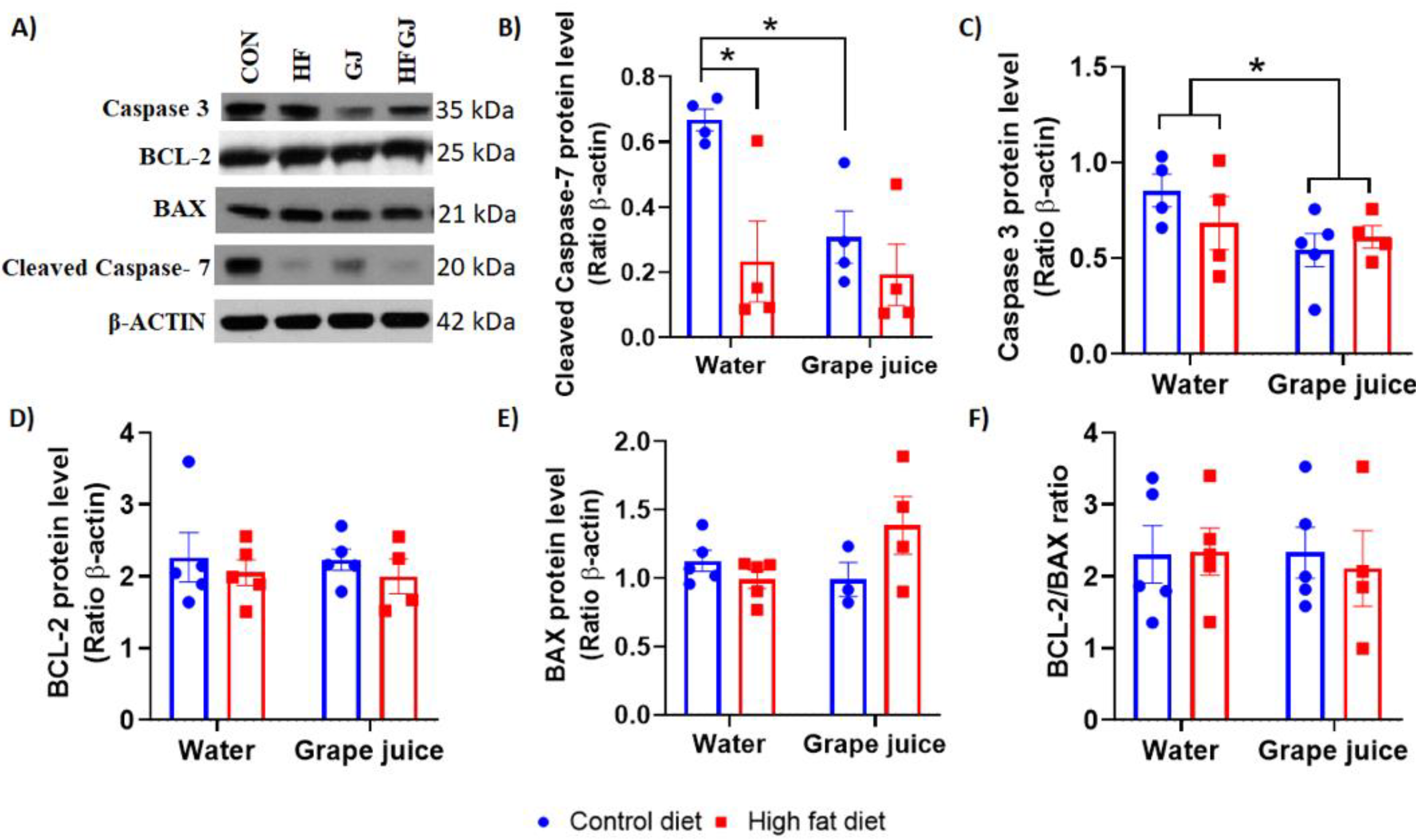 Nutrients 12 02253 g002 Nutrients 12 02253 g002