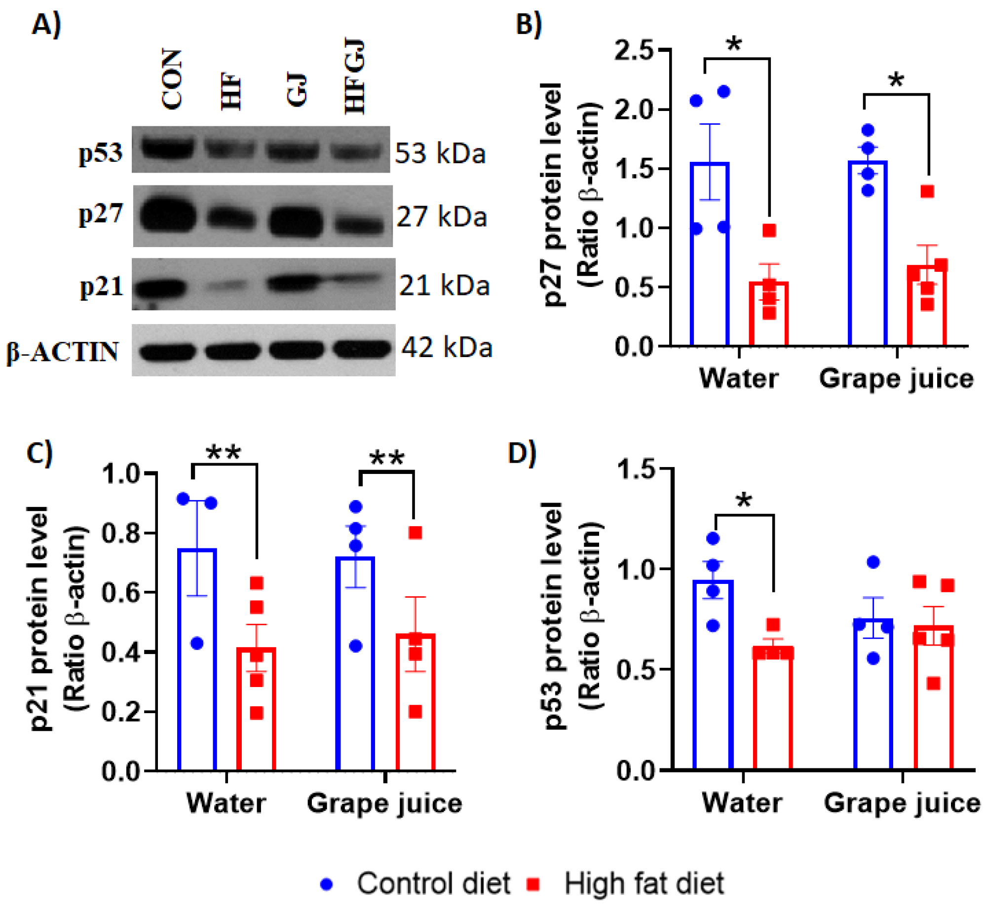 Nutrients 12 02253 g003 Nutrients 12 02253 g003