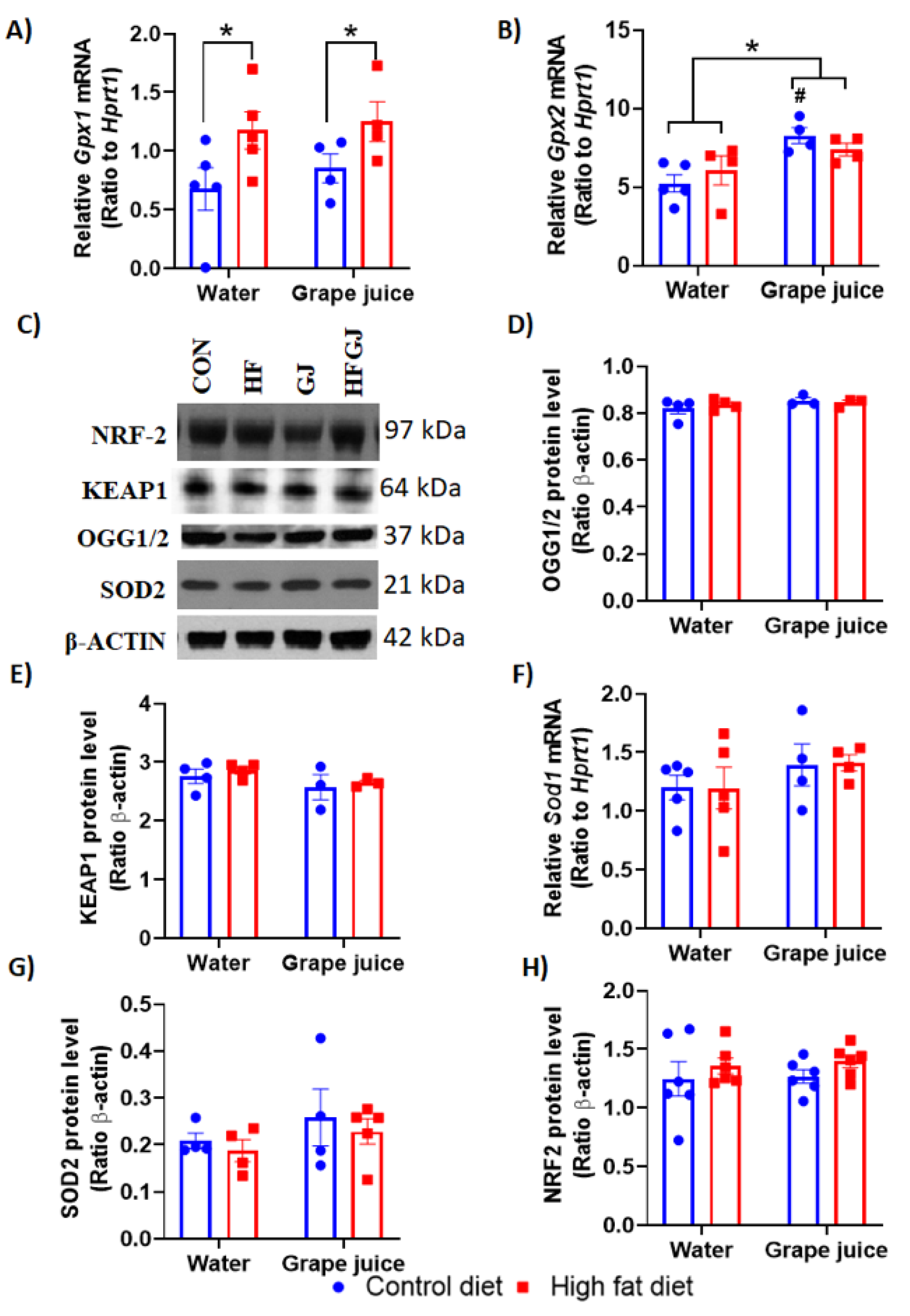 Nutrients 12 02253 g004 Nutrients 12 02253 g004