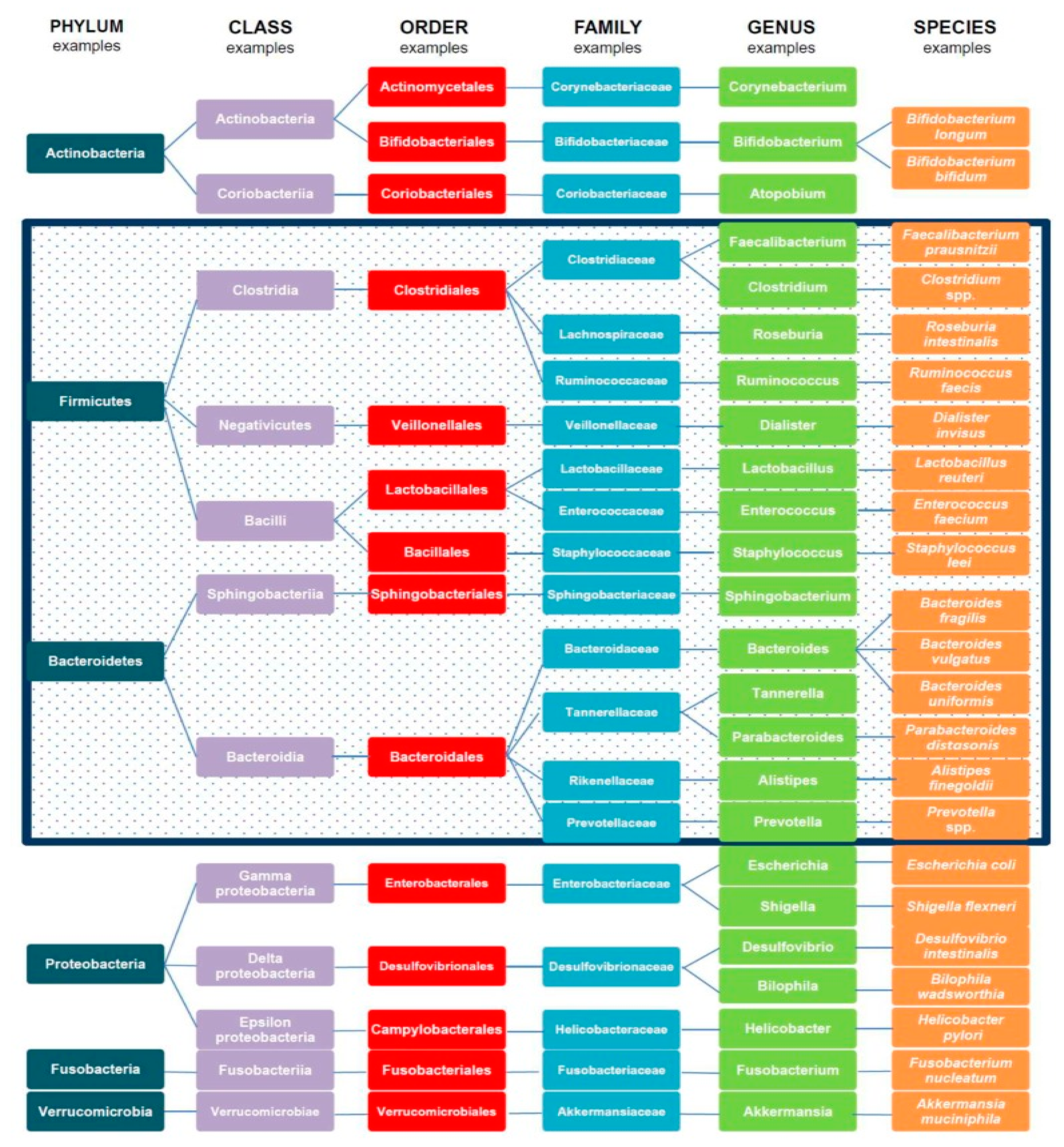 Nutrients 12 02285 g001 Nutrients 12 02285 g001