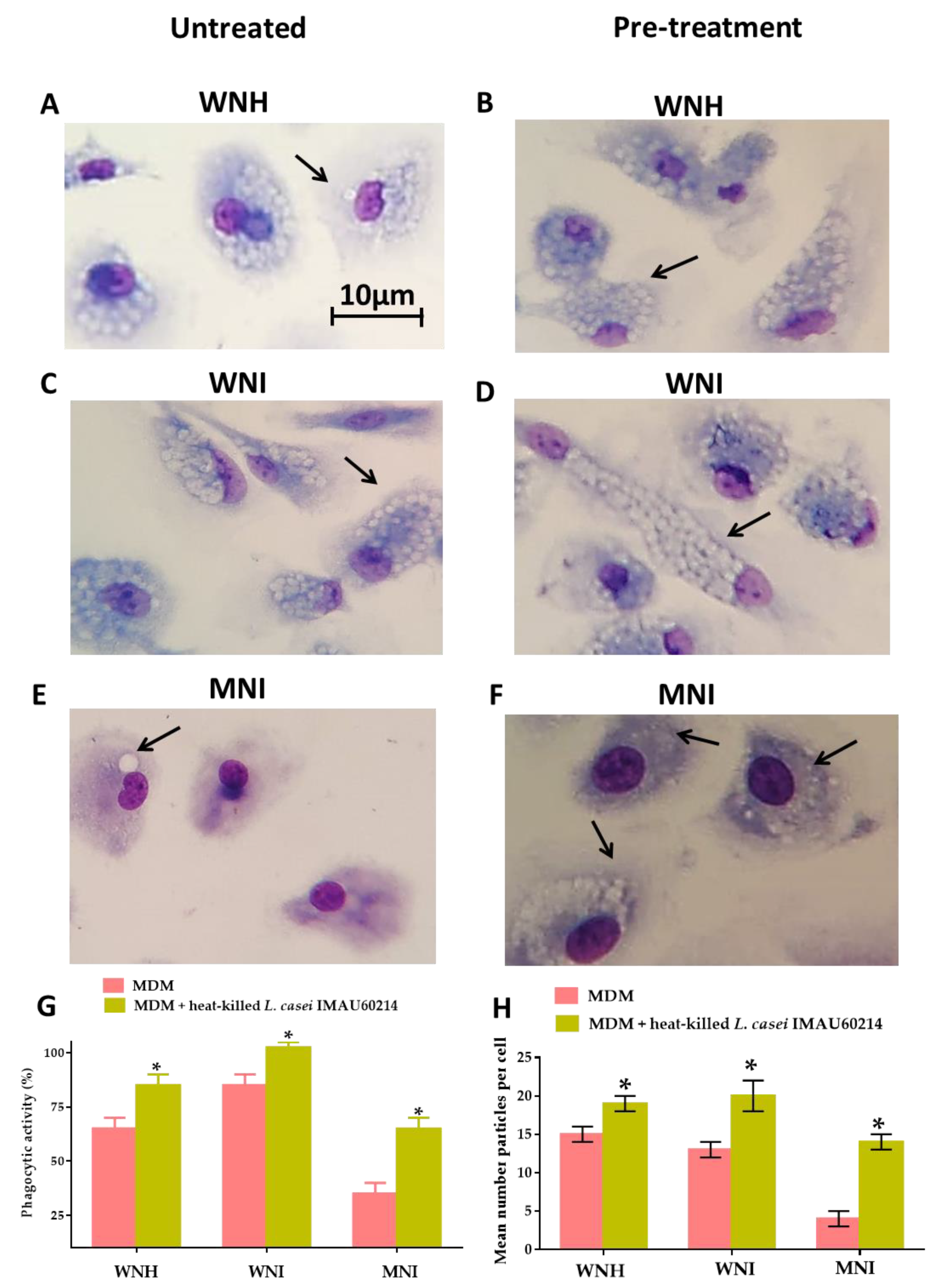 Nutrients 12 02303 g003 Nutrients 12 02303 g003