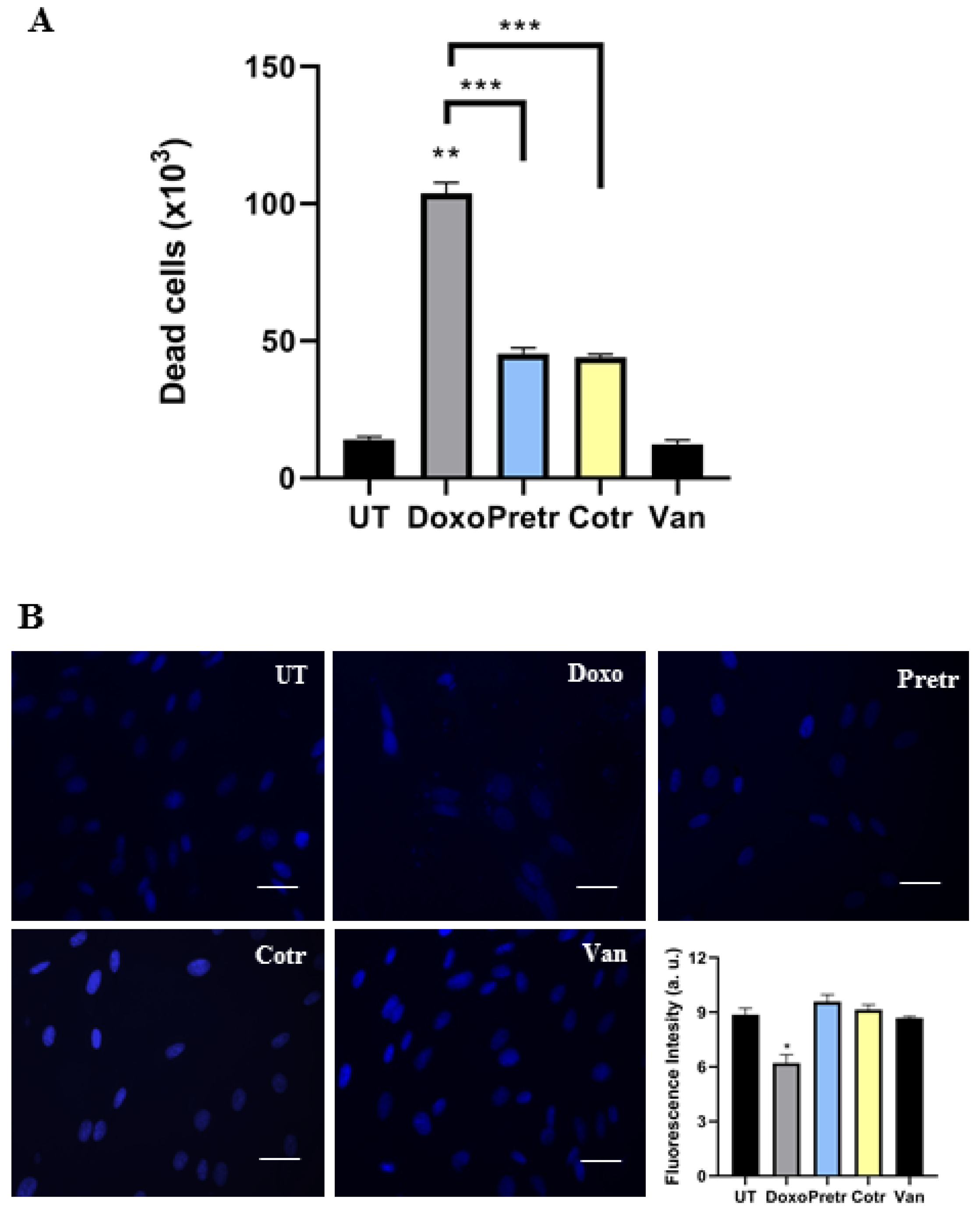 Nutrients 12 02317 g003 Nutrients 12 02317 g003