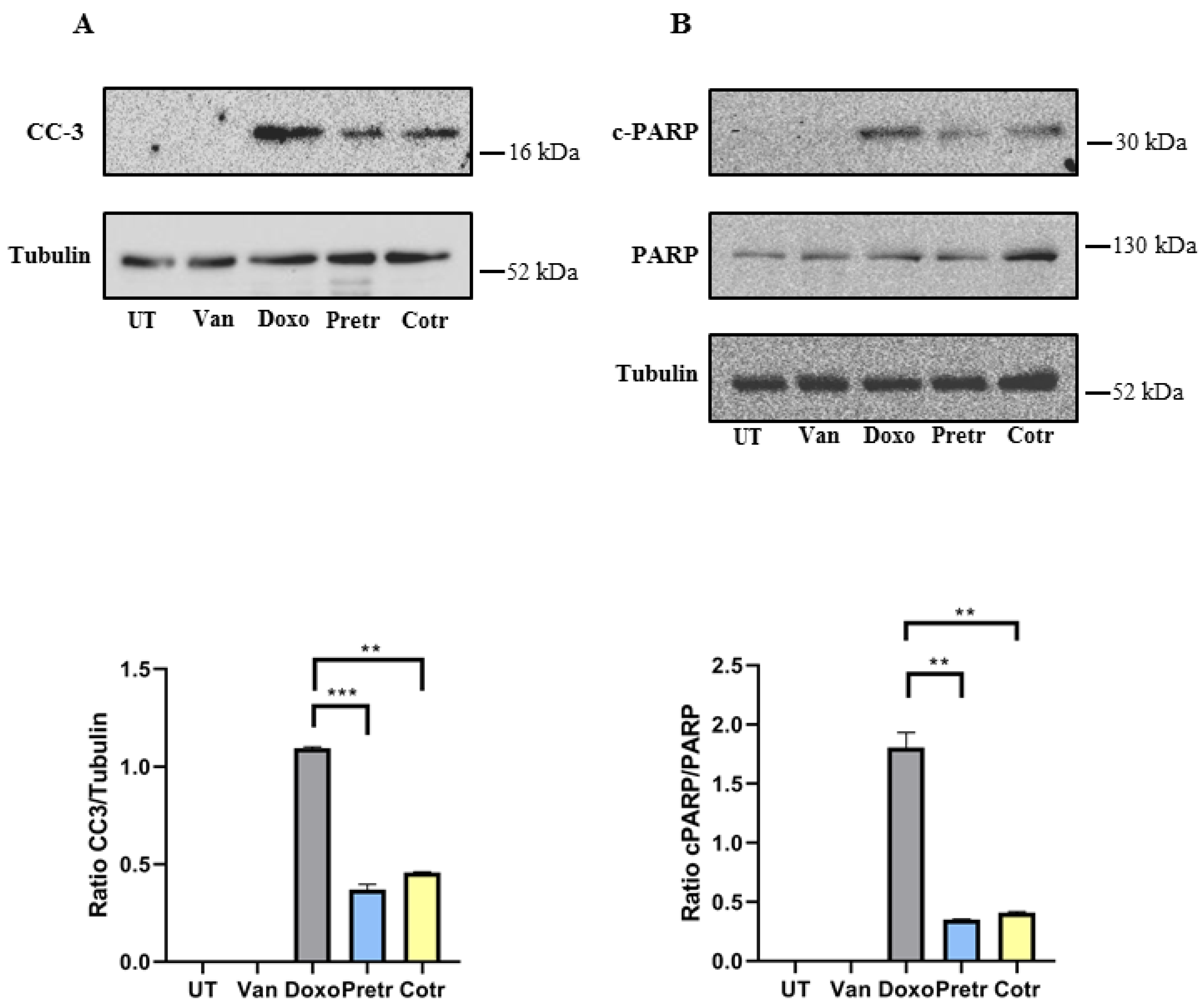 Nutrients 12 02317 g005 Nutrients 12 02317 g005