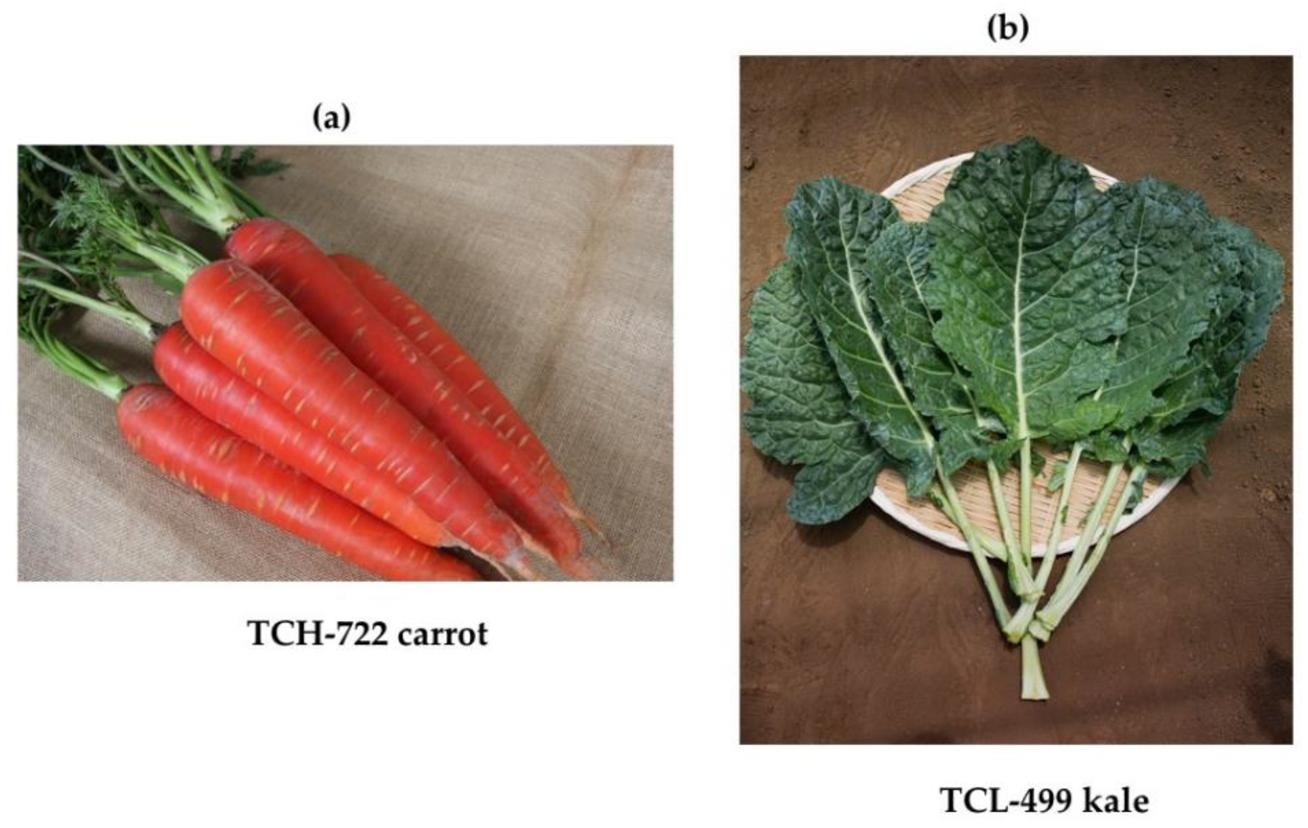 Nutrients 12 02342 g002