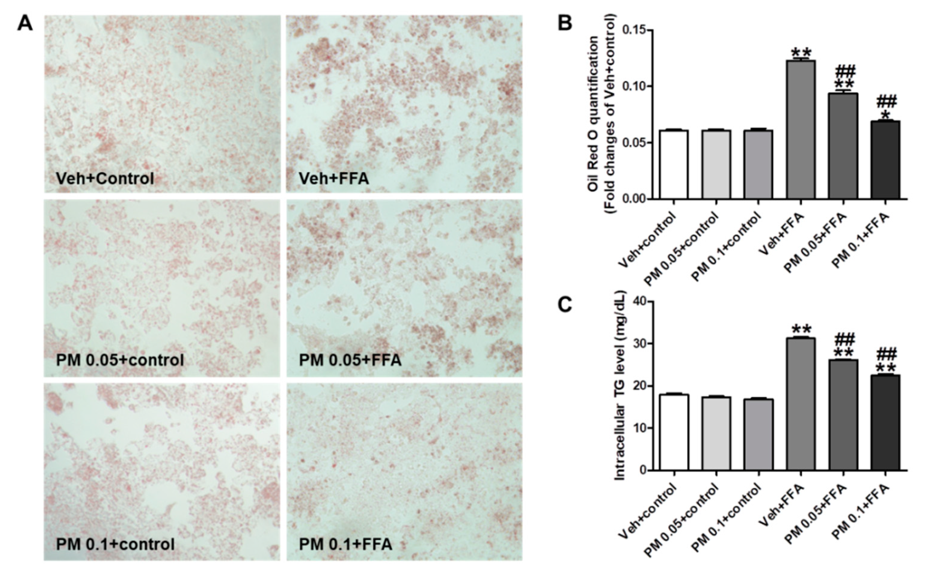 Nutrients Free Full Text The Root Of Polygonum Multiflorum Thunb Alleviates Non Alcoholic Steatosis And Insulin Resistance In High Fat Diet Fed Mice Html