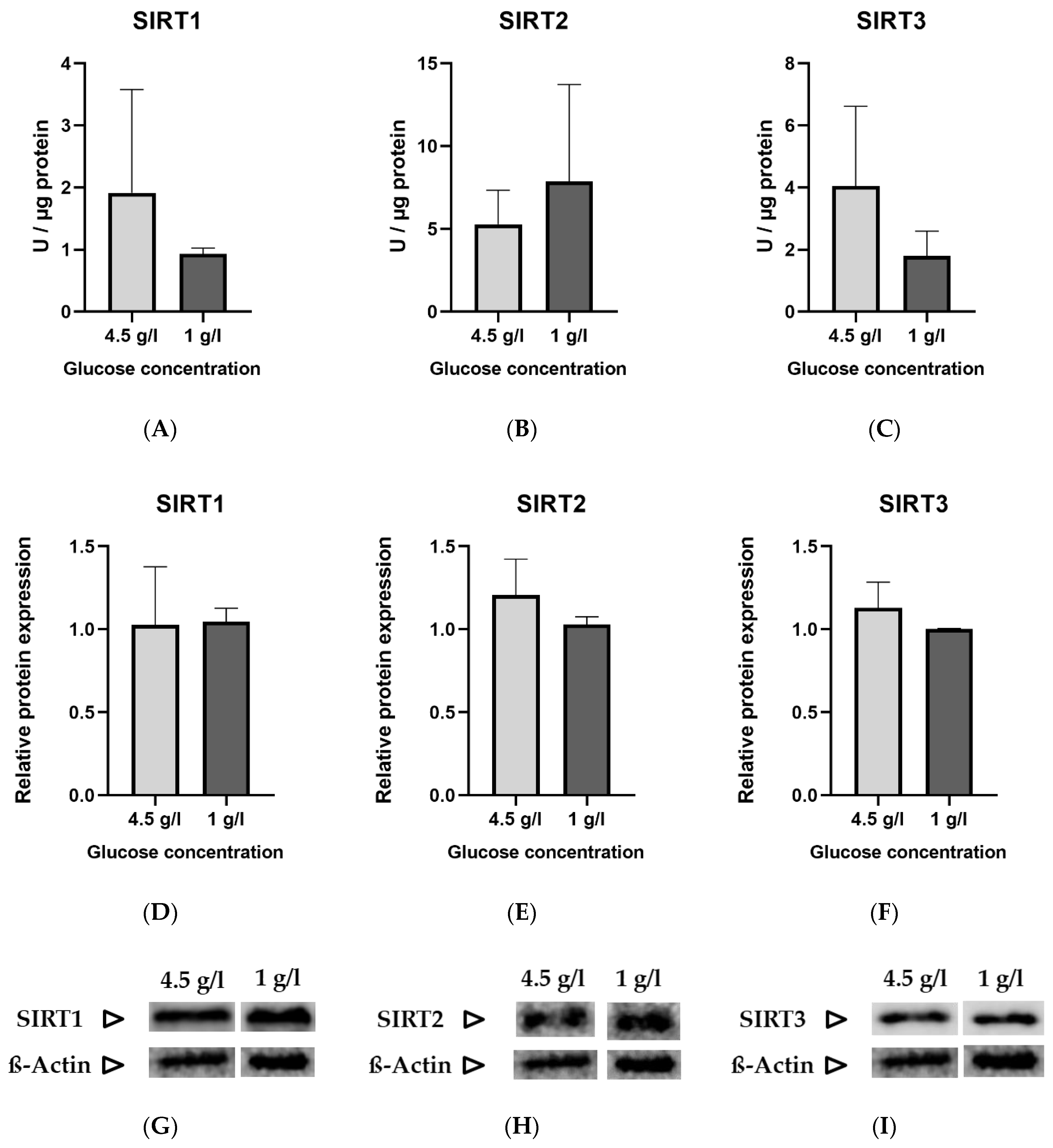 Nutrients Free Full Text Mechanism Of Action Of Ketogenic Diet Treatment Impact Of Decanoic Acid And Beta Hydroxybutyrate On Sirtuins And Energy Metabolism In Hippocampal Murine Neurons Html