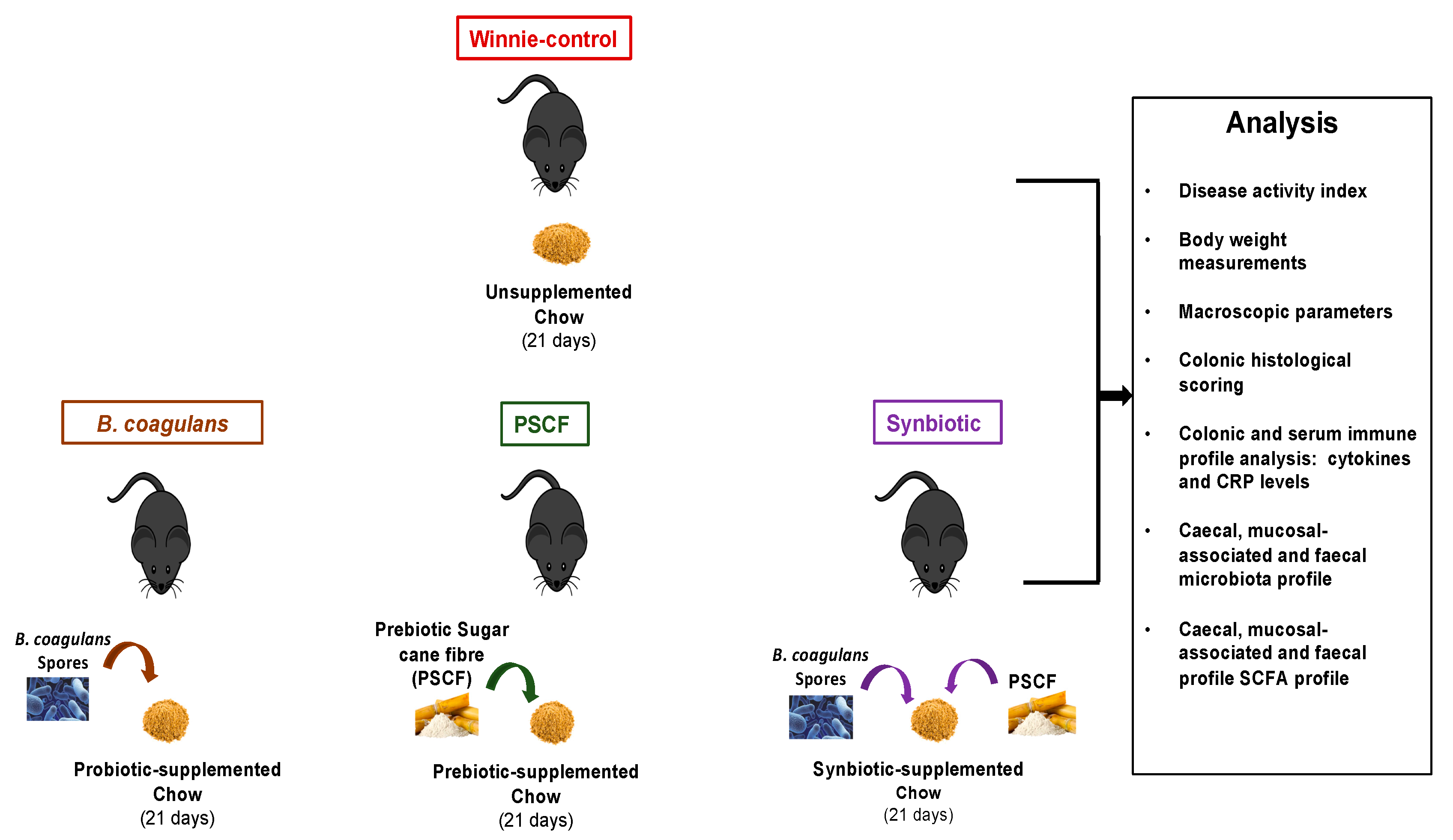 Nutrients 12 02380 g001 Nutrients 12 02380 g001