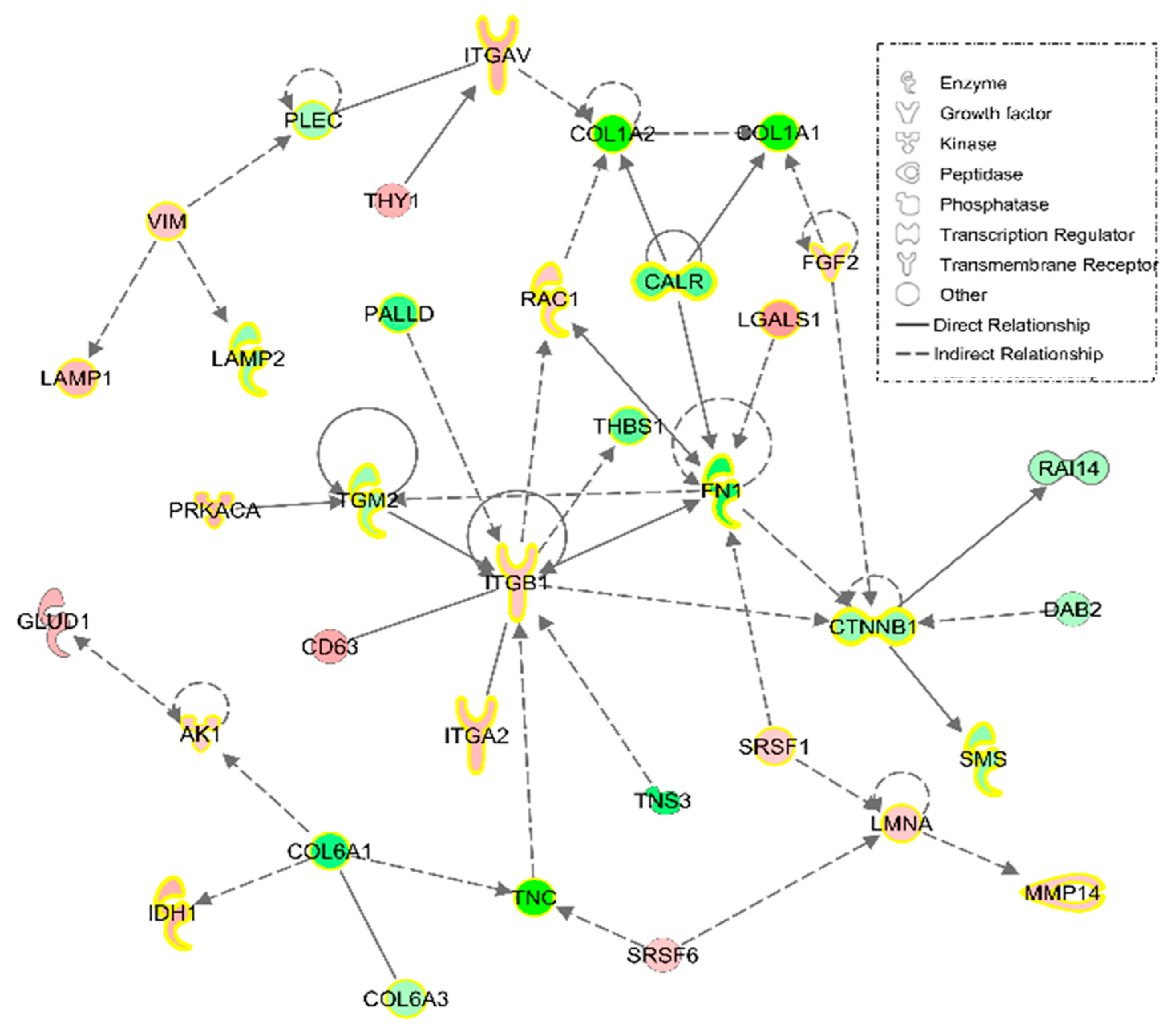 Nutrients 12 02386 g003 Nutrients 12 02386 g003