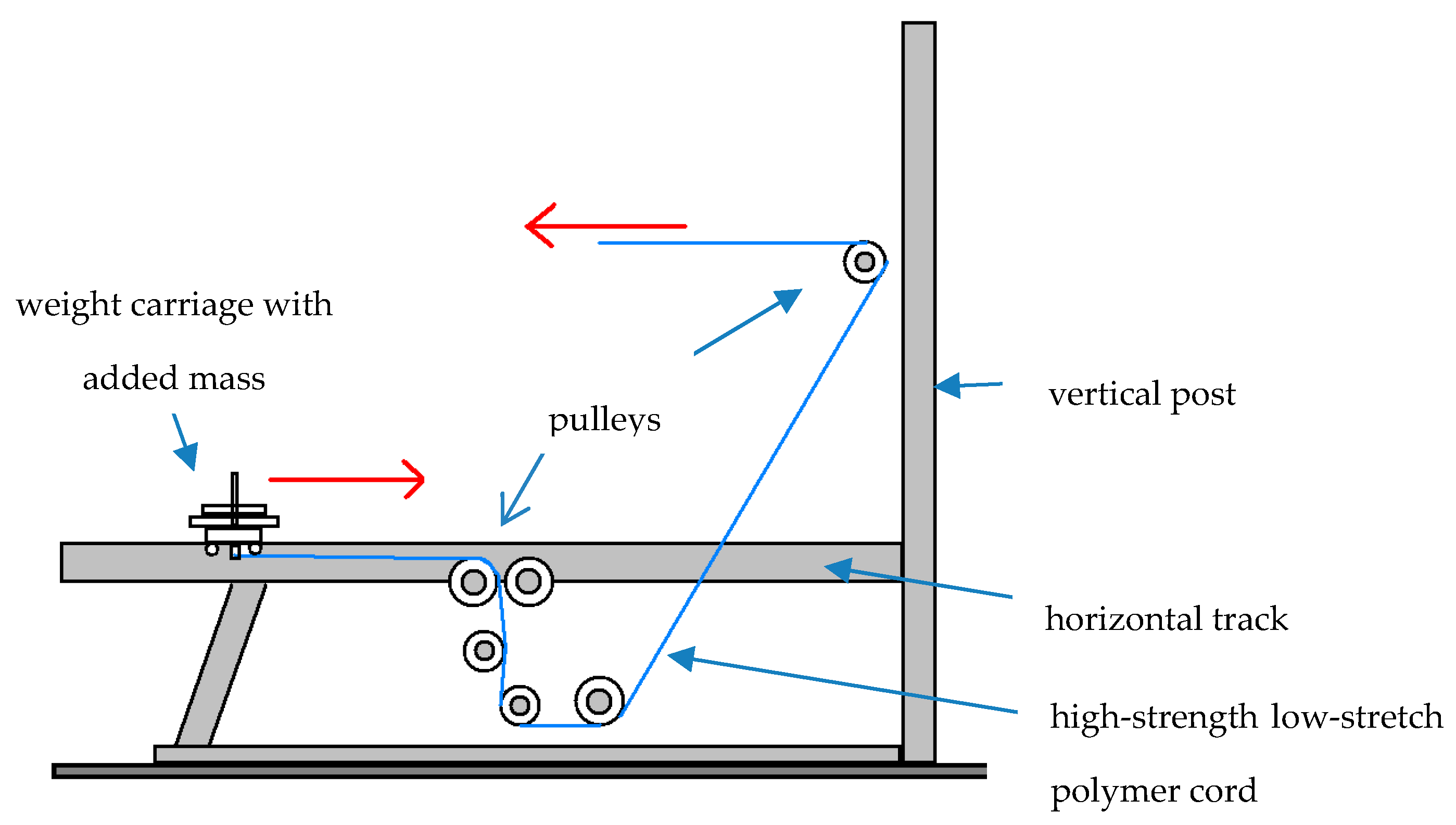 Nutrients 12 02400 g001