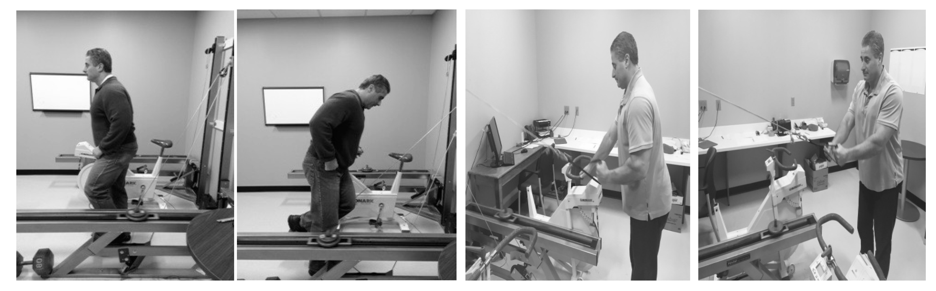 Nutrients 12 02400 g002