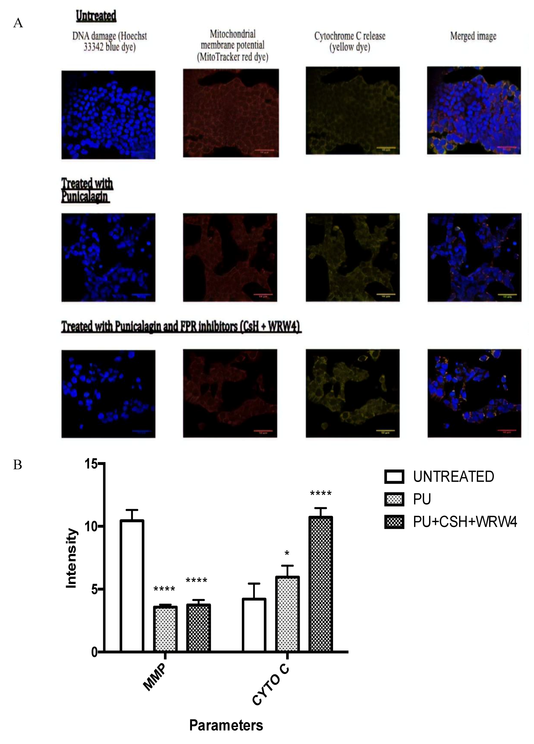 Nutrients 12 02430 g004