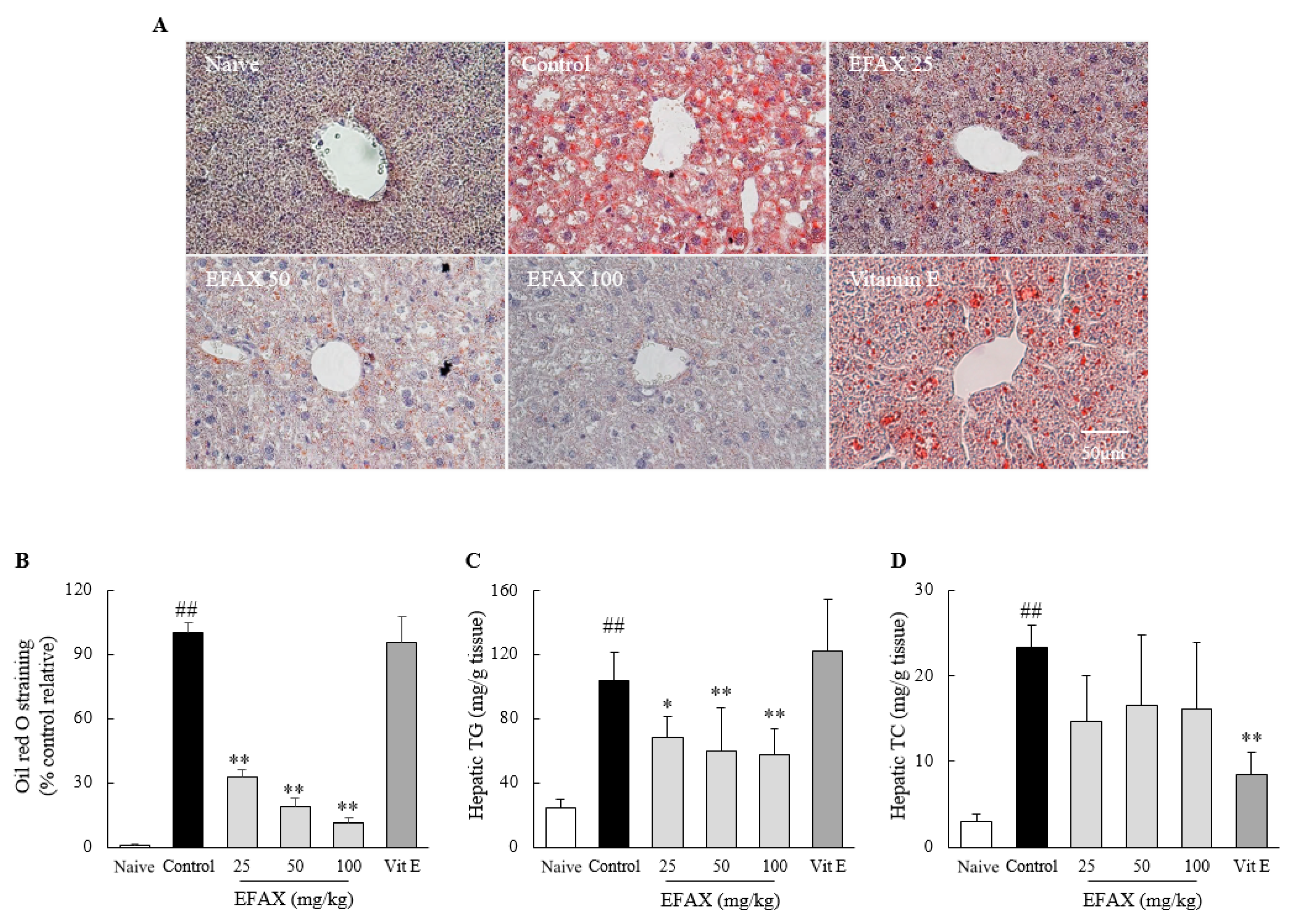 Nutrients 12 02433 g002 Nutrients 12 02433 g002