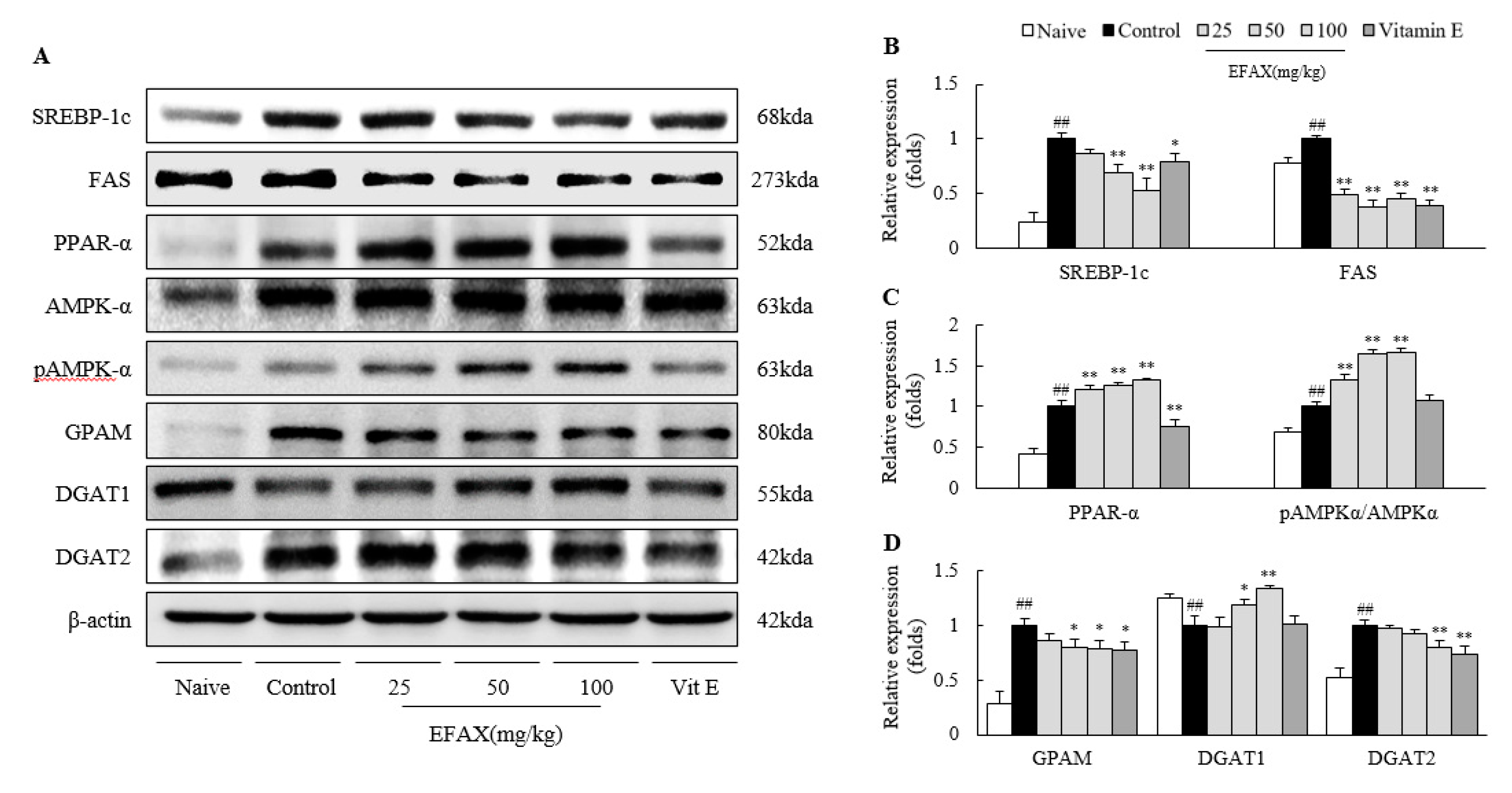 Nutrients 12 02433 g003 Nutrients 12 02433 g003