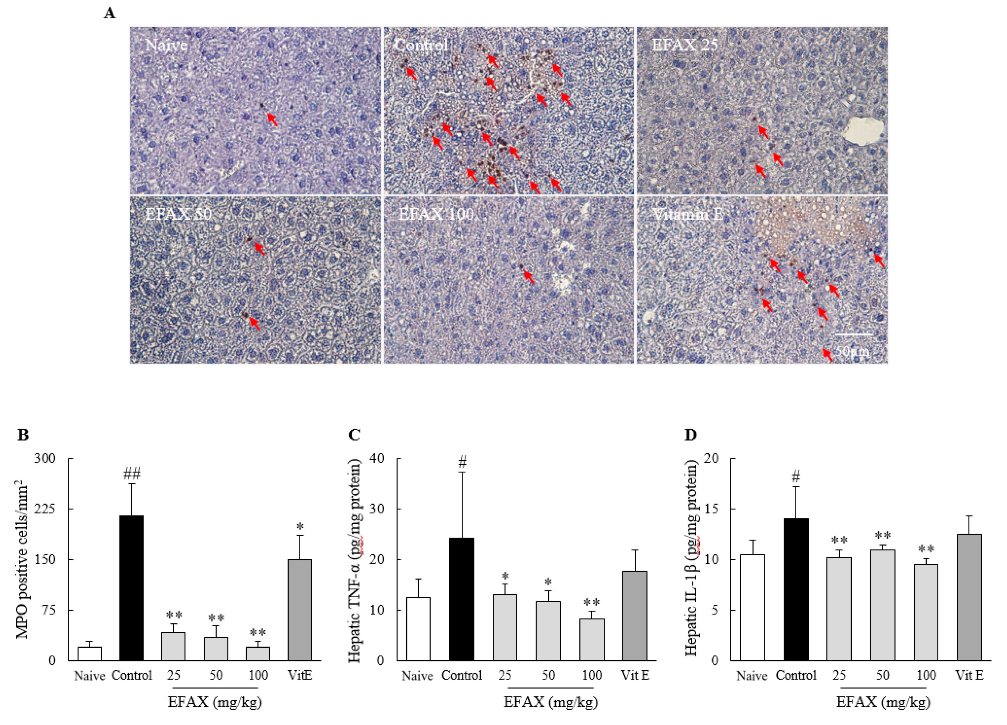 Nutrients 12 02433 g005 Nutrients 12 02433 g005