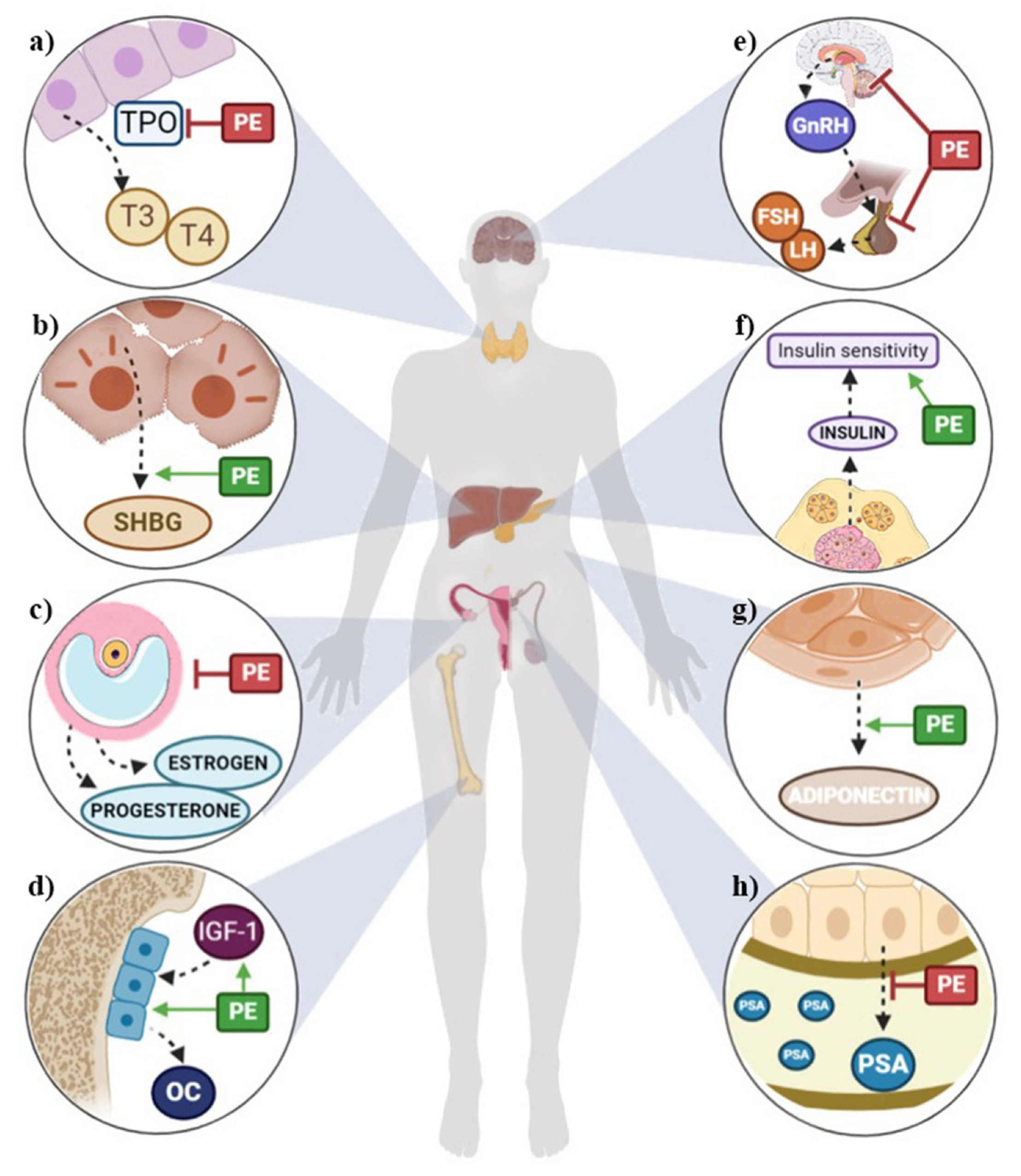 Nutrients 12 02456 g002