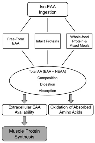 Nutrients, Free Full-Text