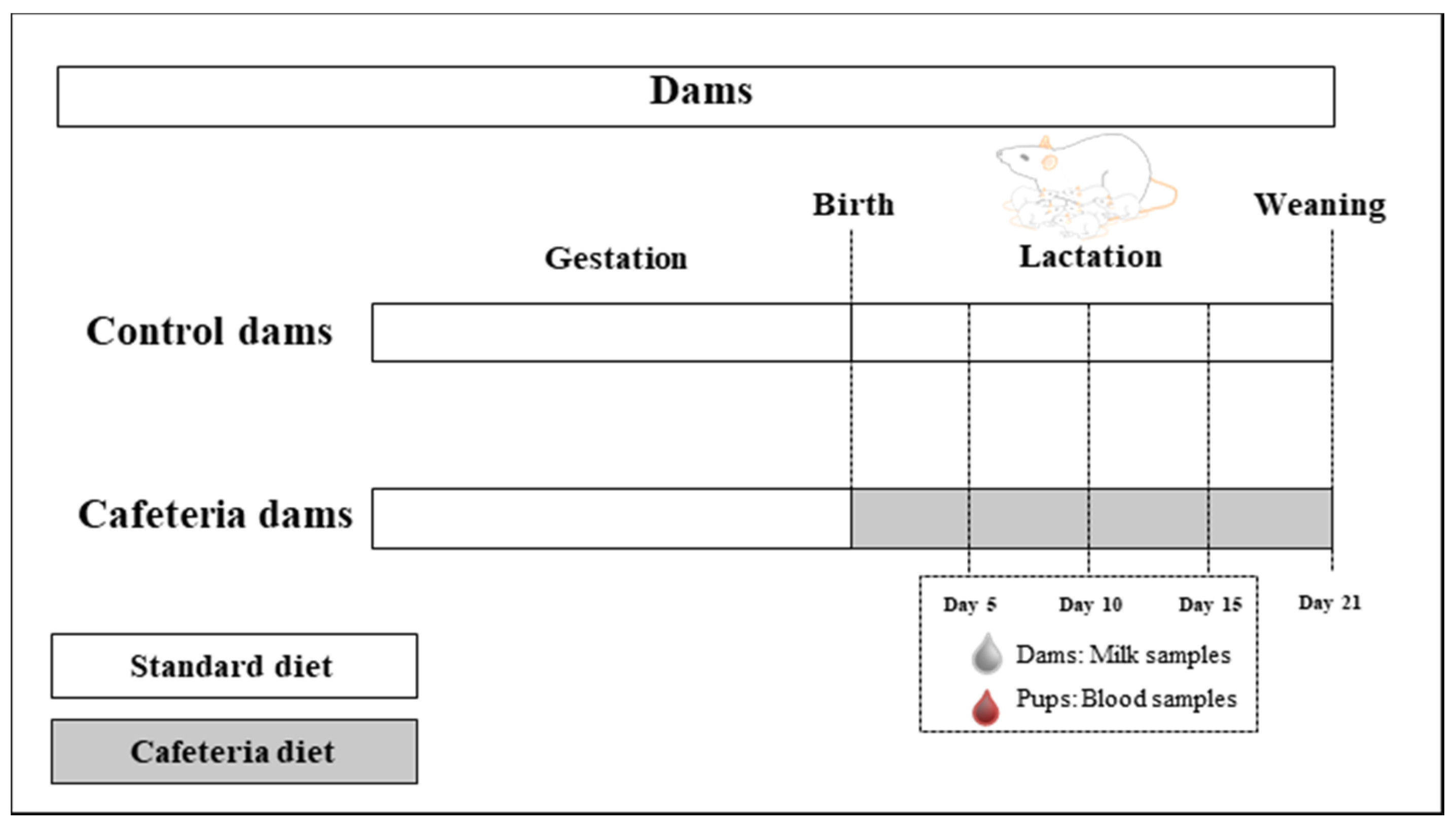 Nutrients 12 02470 g001 Nutrients 12 02470 g001
