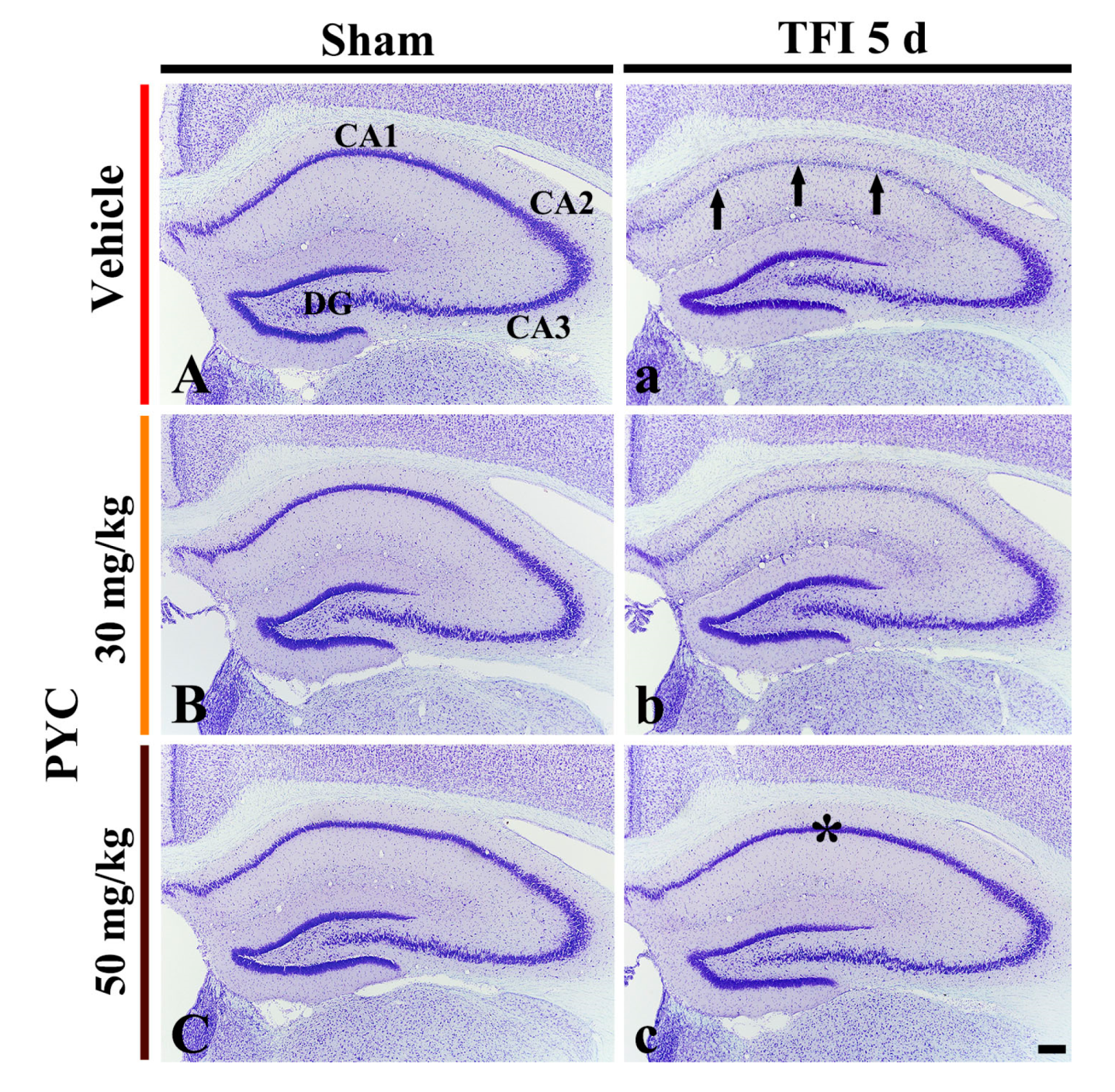 Nutrients 12 02477 g002