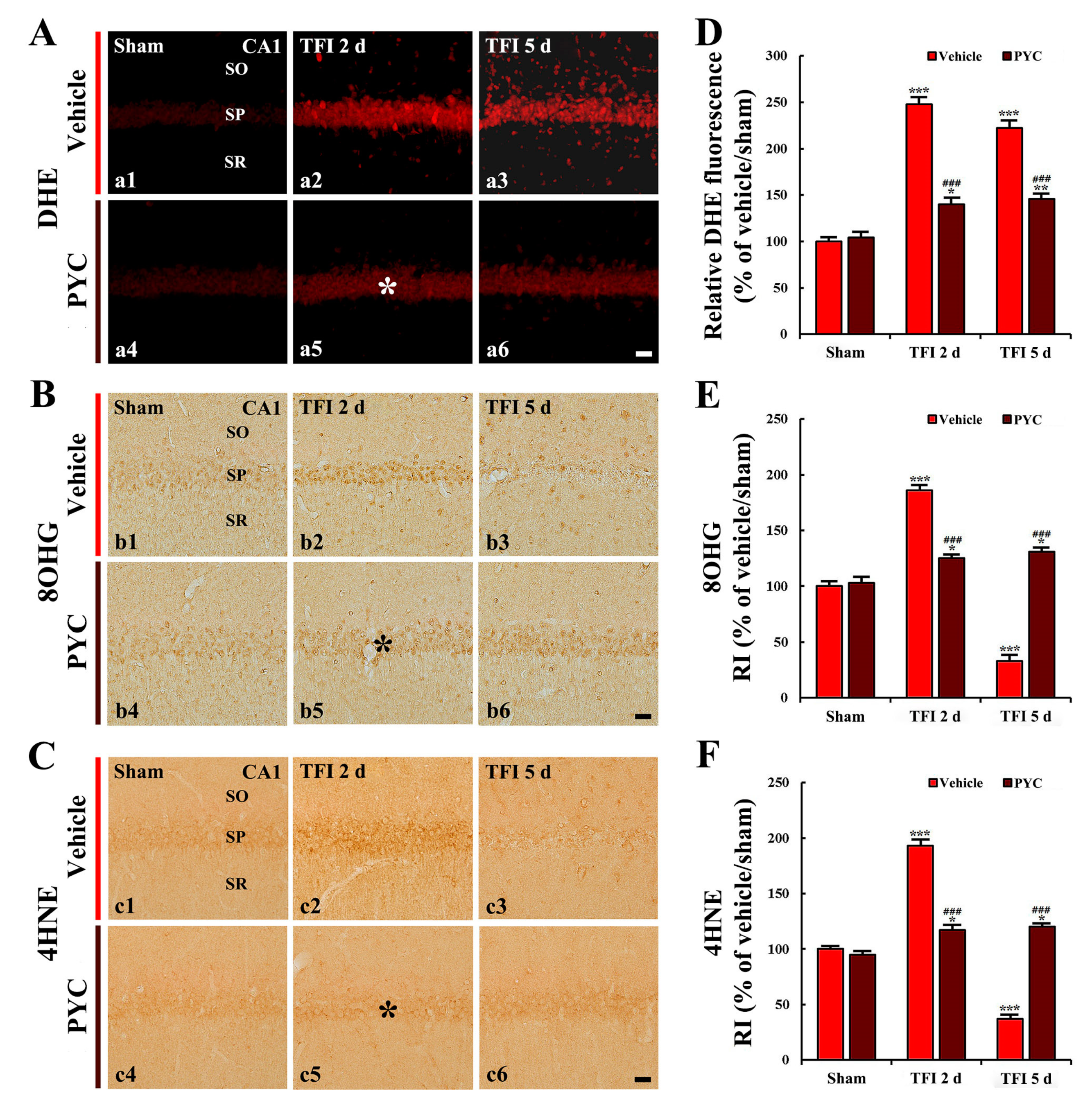 Nutrients 12 02477 g004