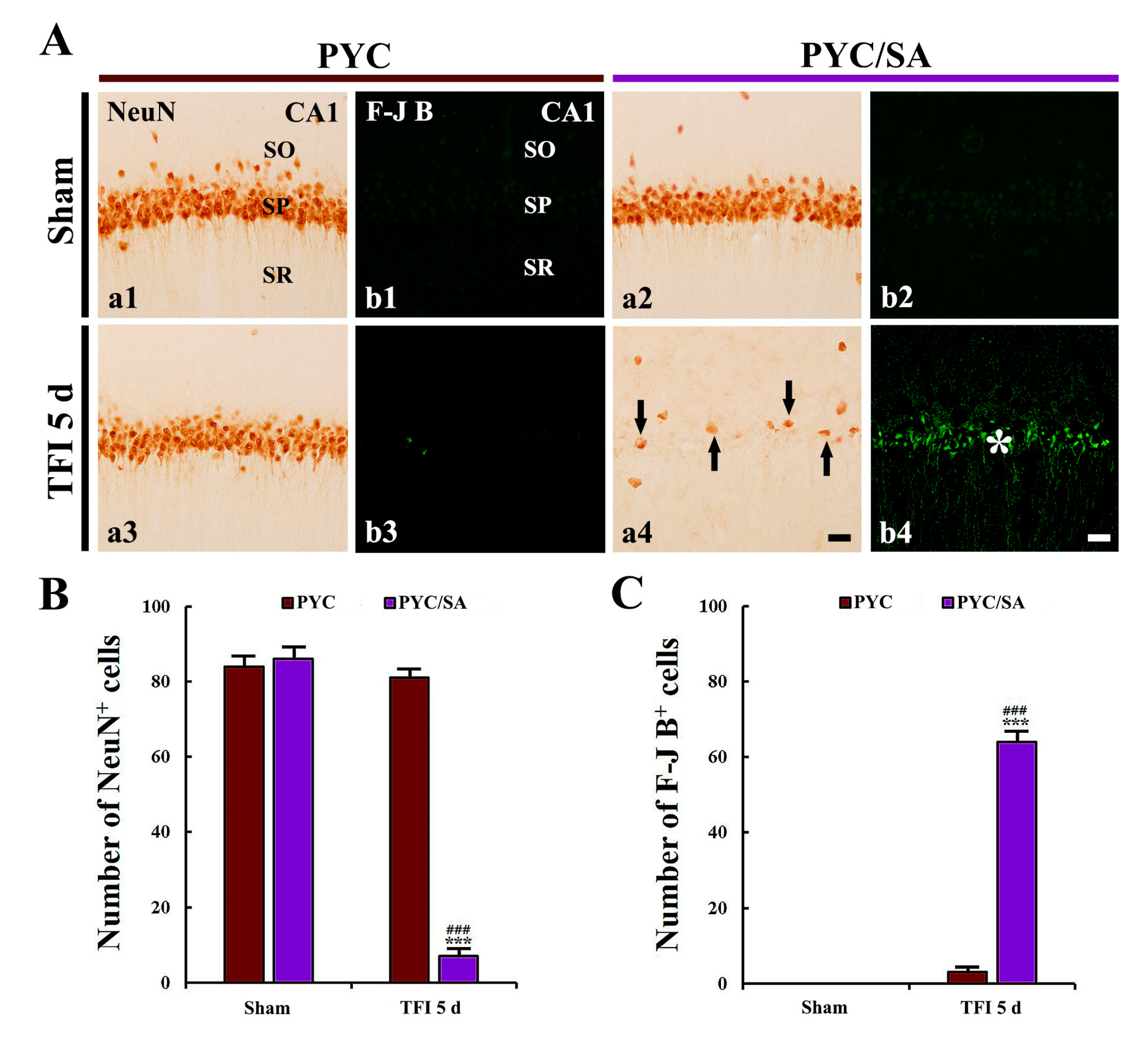 Nutrients 12 02477 g007