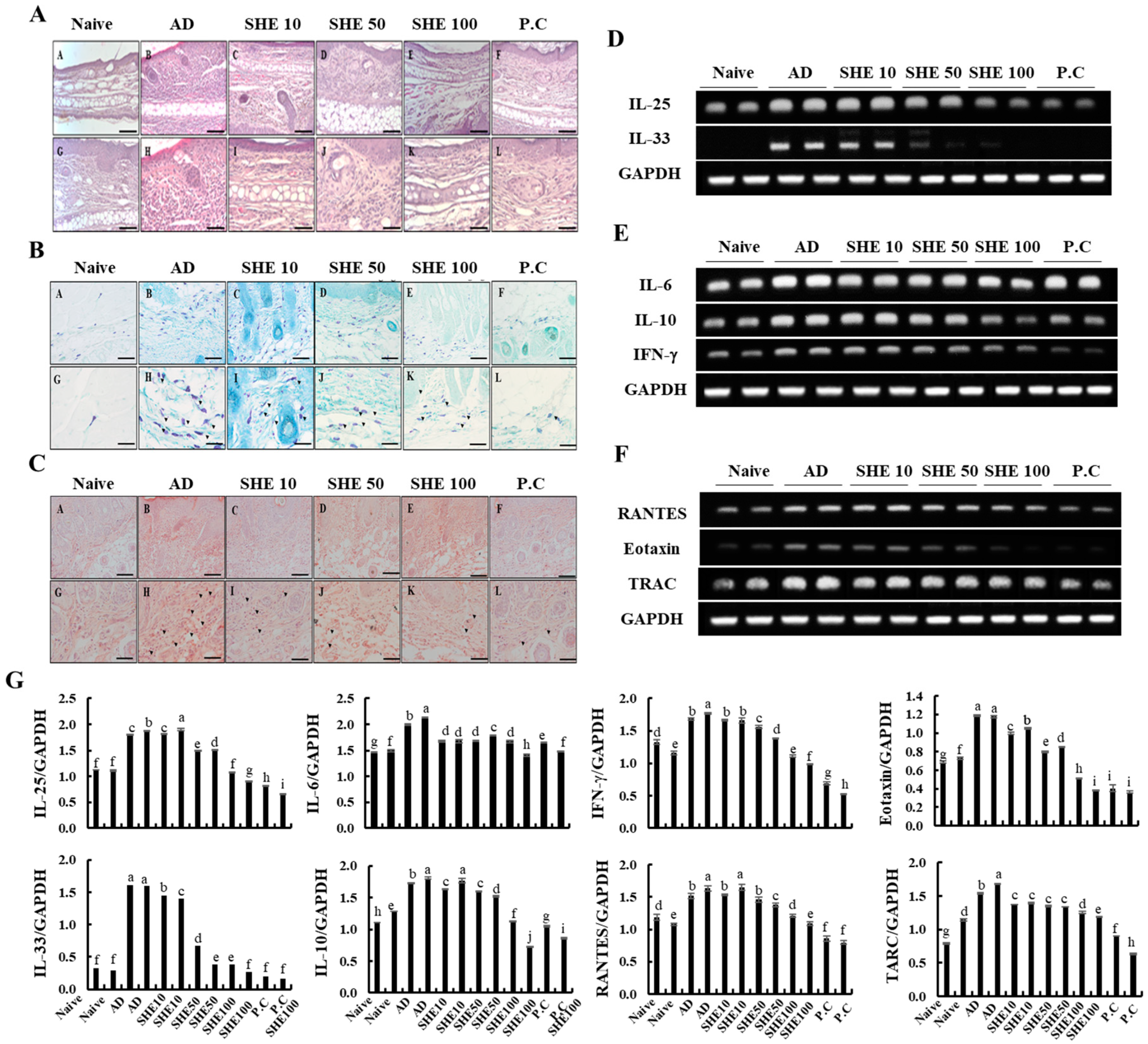 Nutrients 12 02482 g004 Nutrients 12 02482 g004
