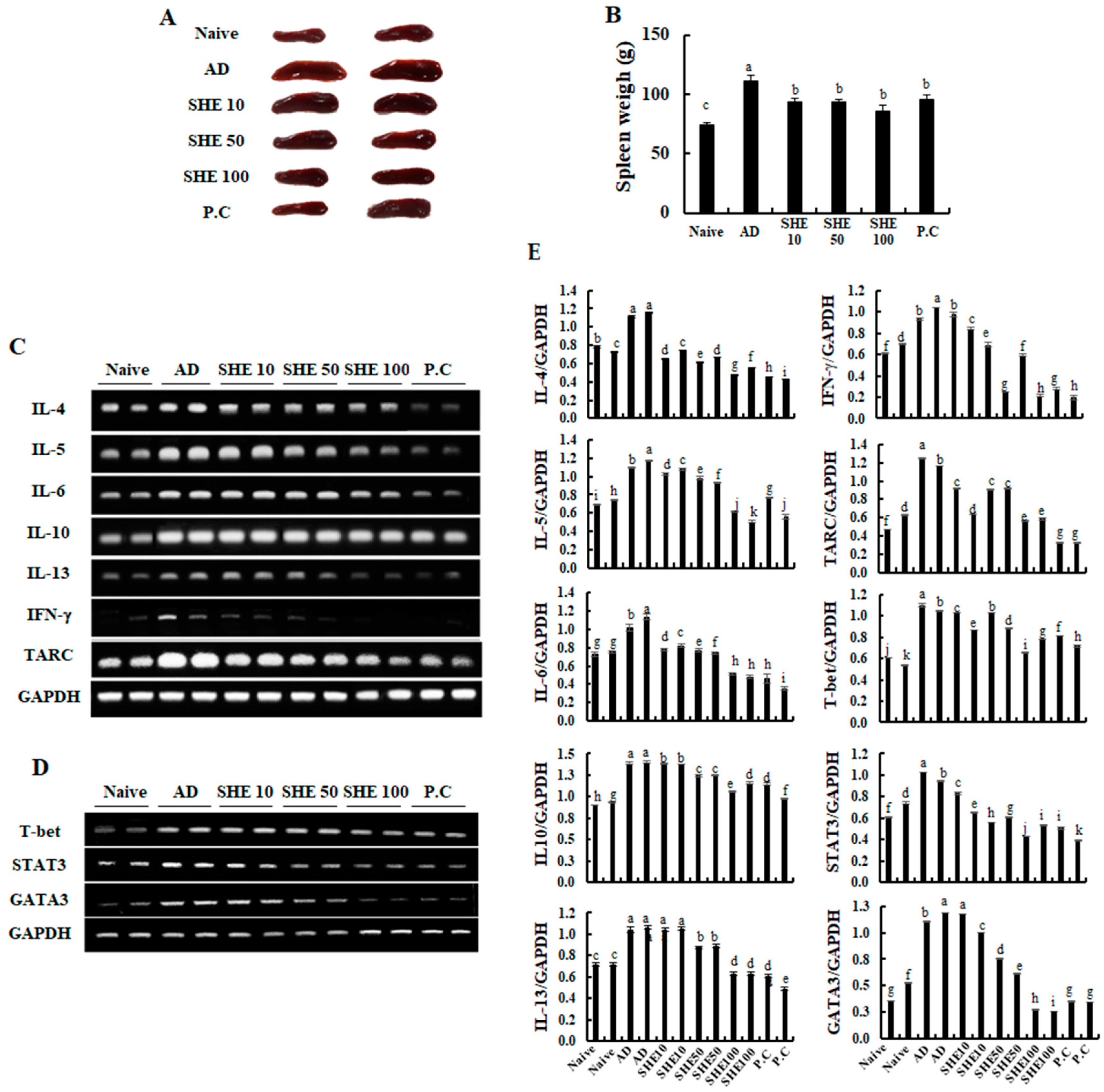 Nutrients 12 02482 g005 Nutrients 12 02482 g005