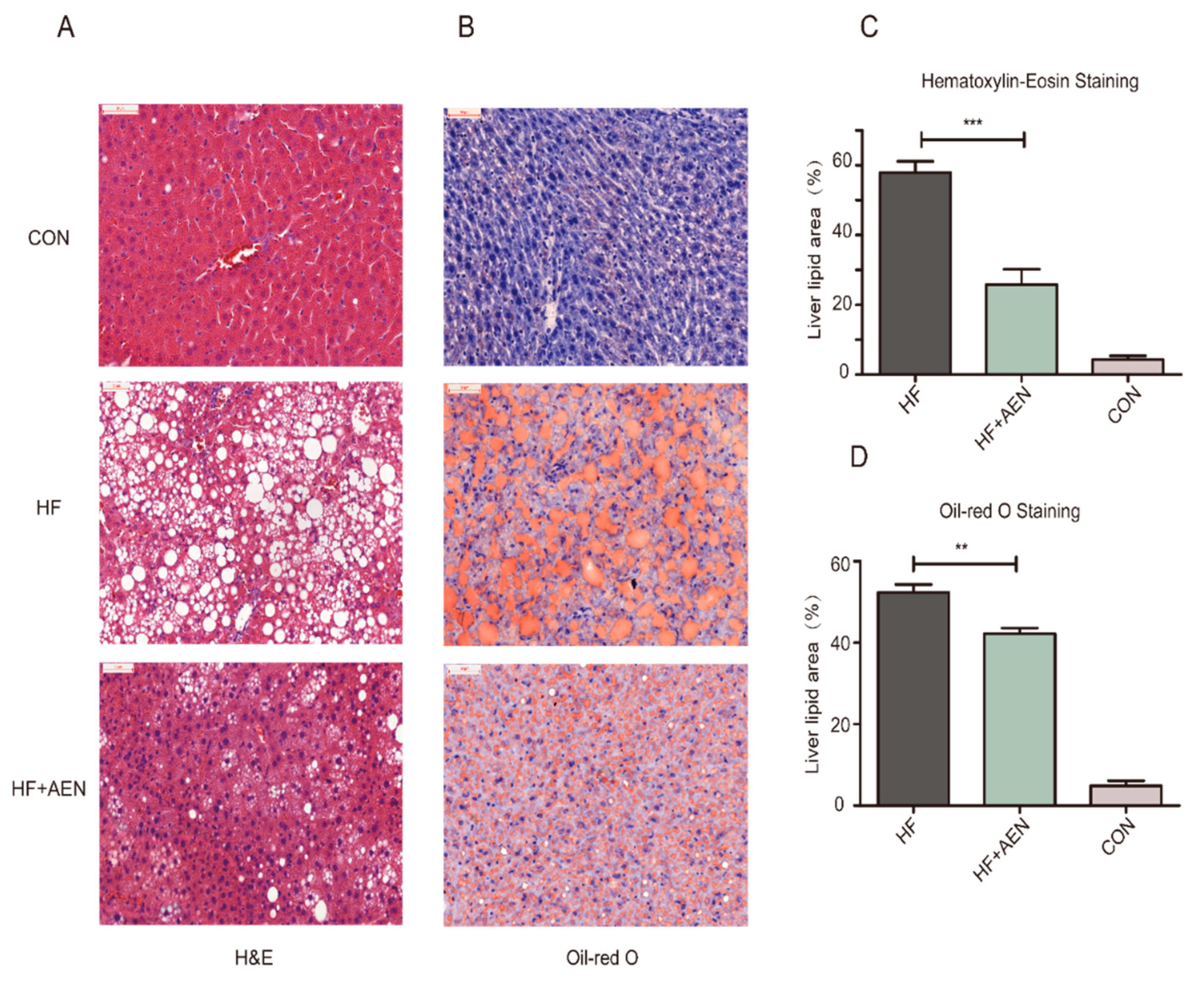Nutrients 12 02507 g004a Nutrients 12 02507 g004a