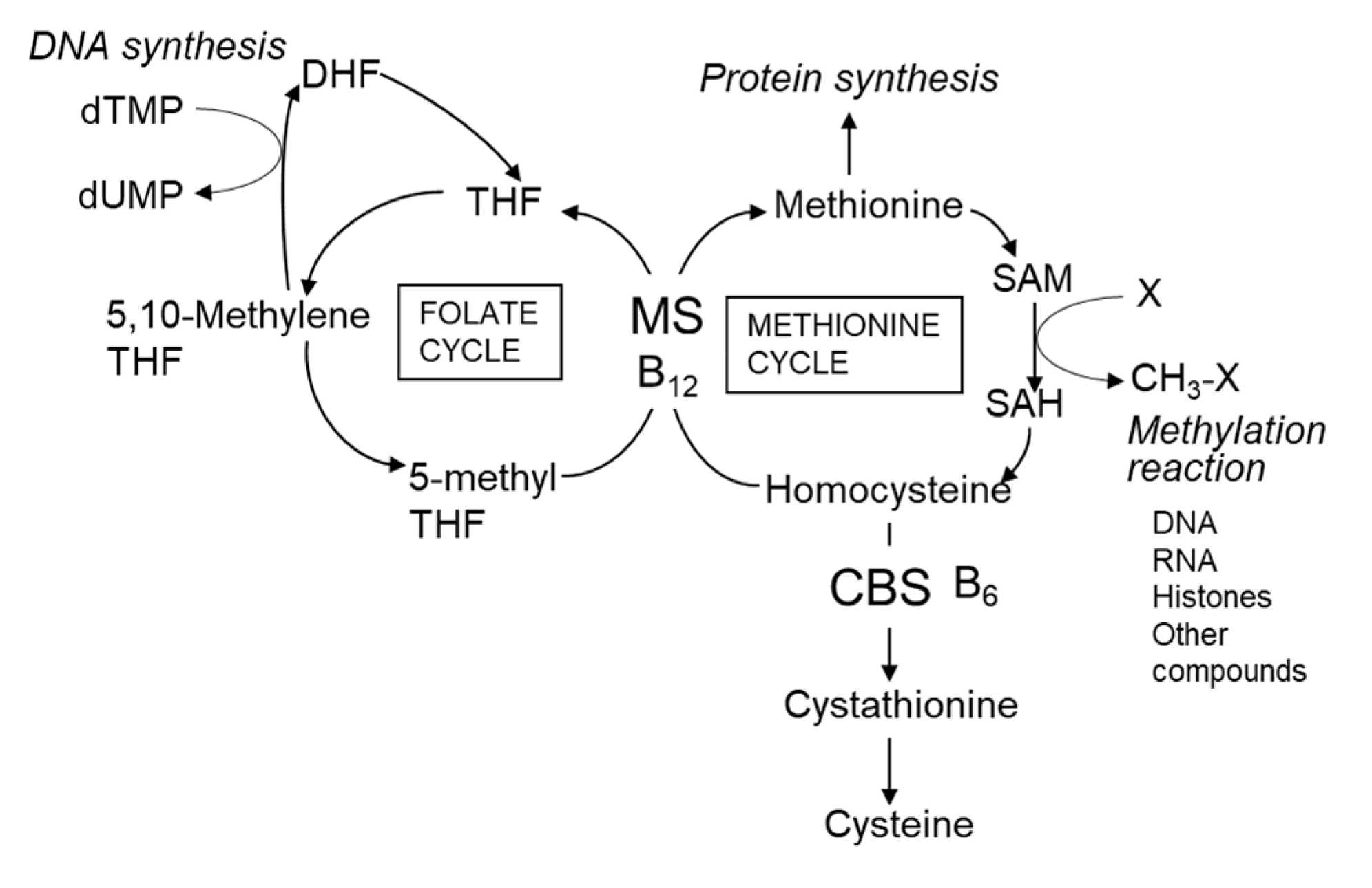 Nutrients 12 02524 g002