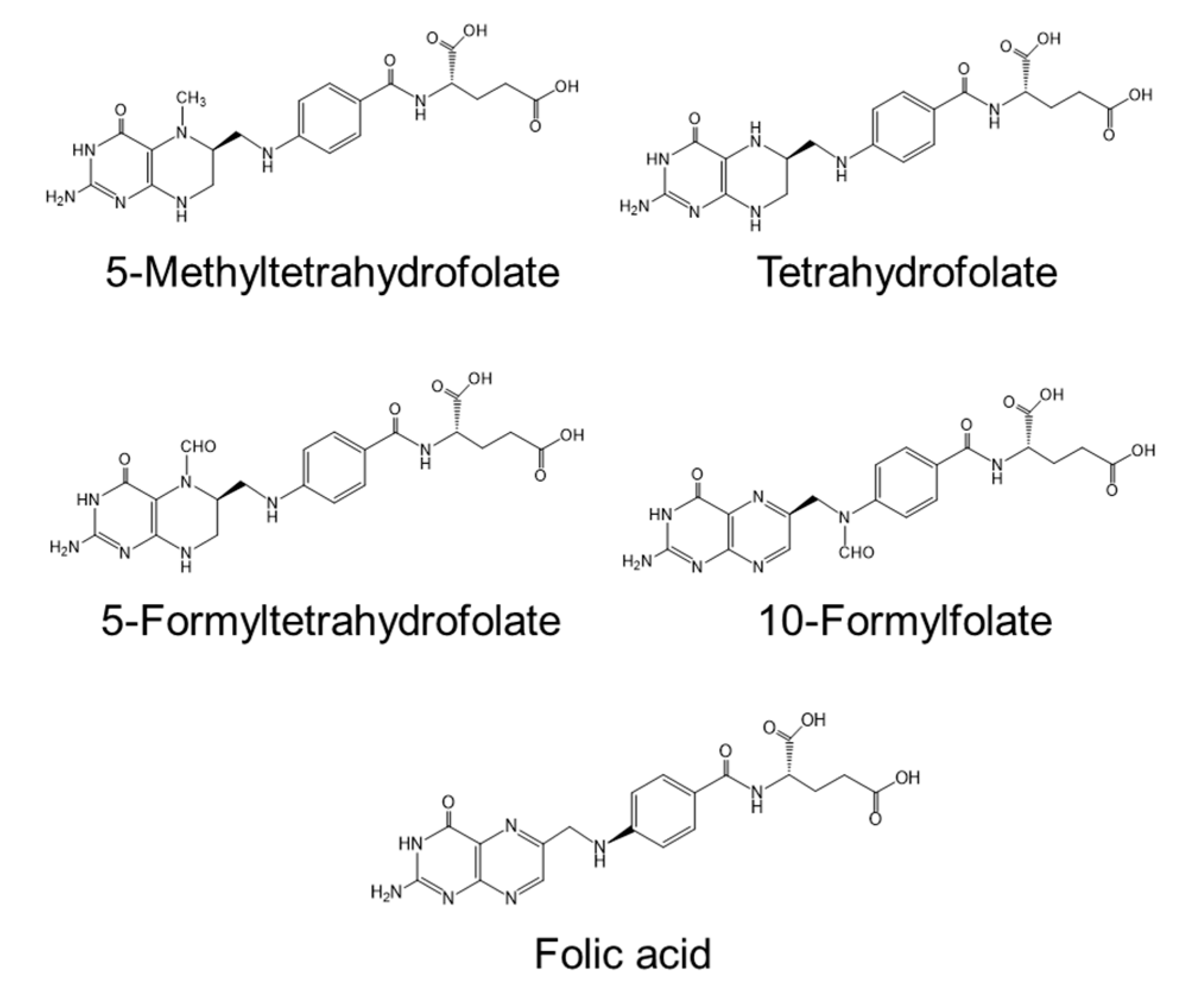 Nutrients 12 02524 g003