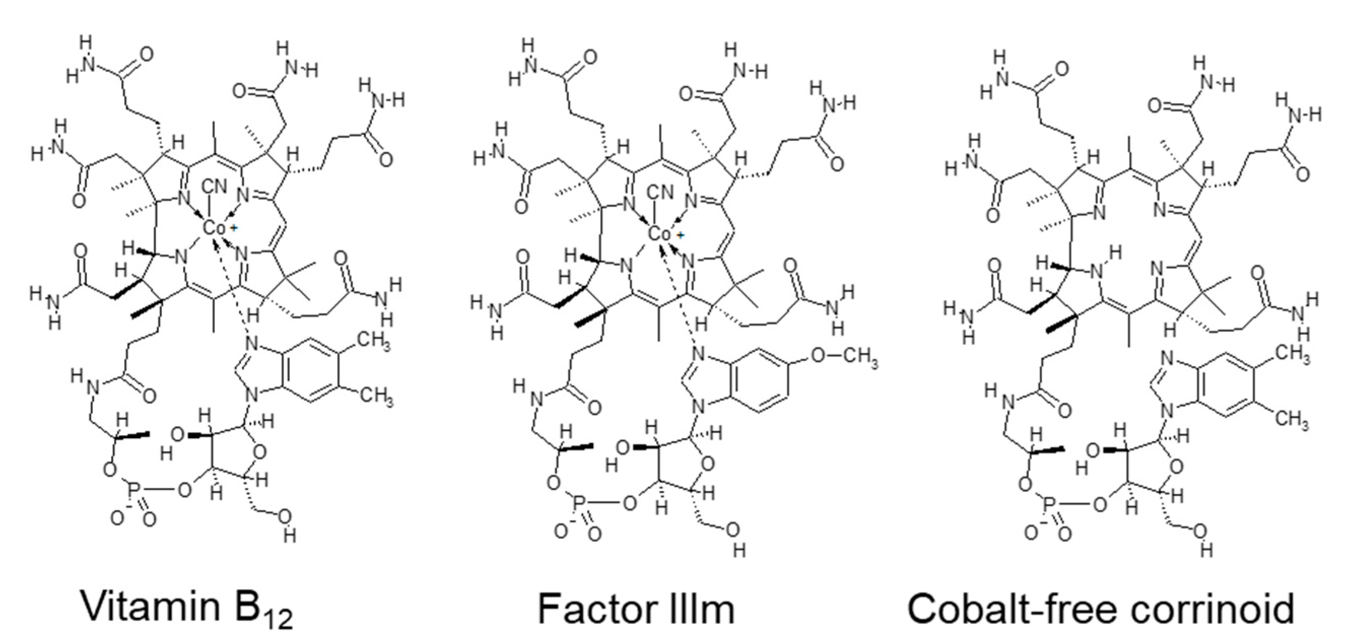 Nutrients 12 02524 g004
