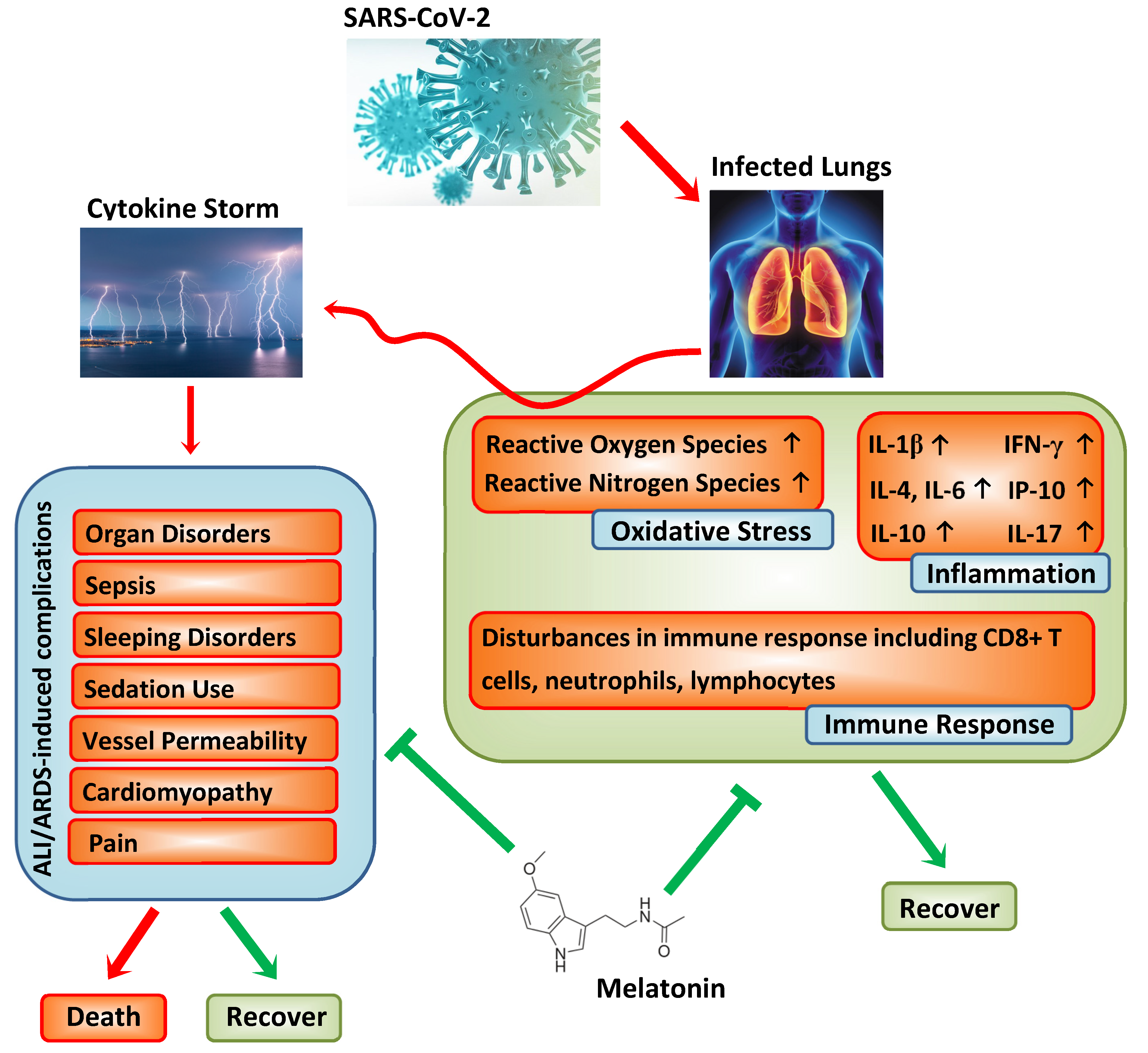 Nutrients 12 02561 g001 Nutrients 12 02561 g001