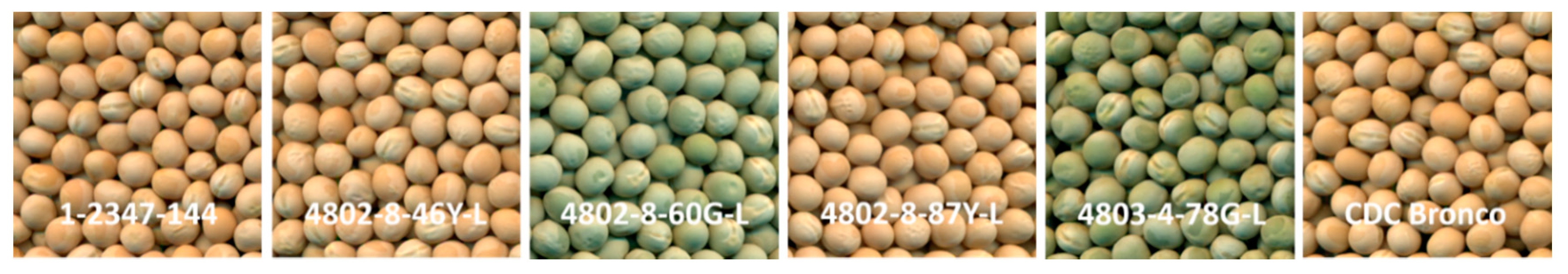 Nutrients 12 02563 g001