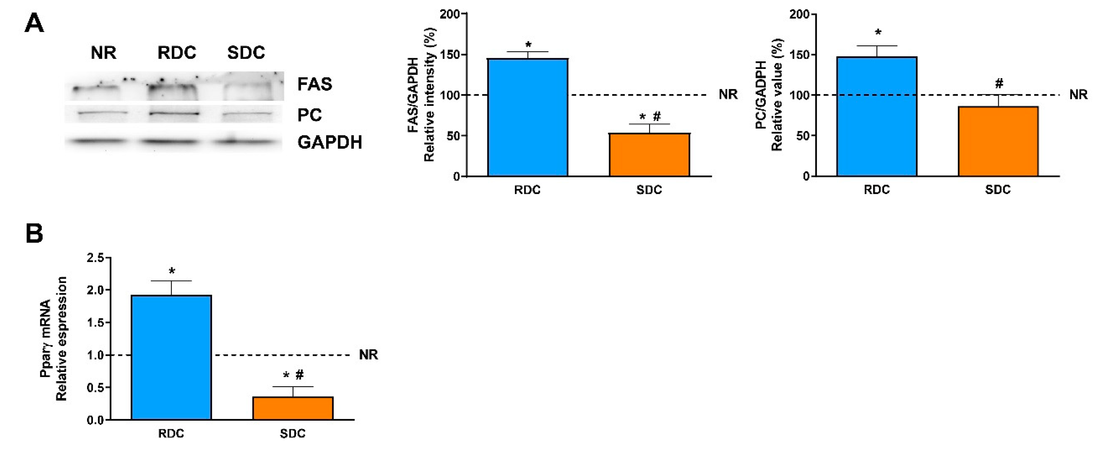 Nutrients 12 02568 g004