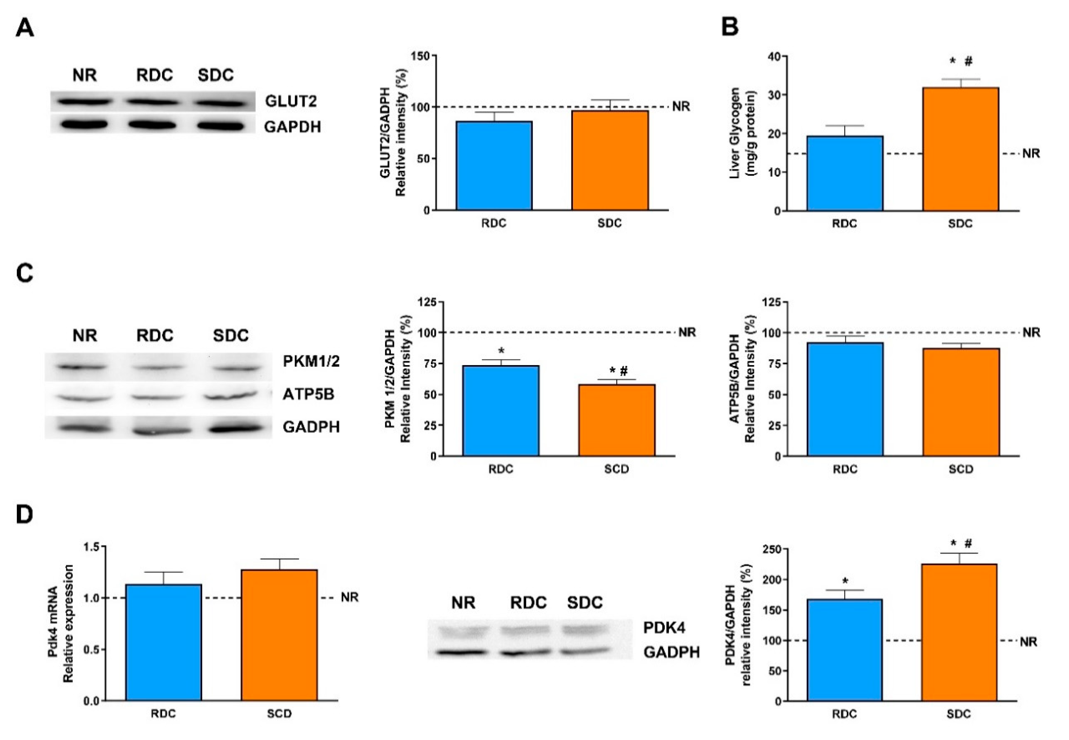 Nutrients 12 02568 g008