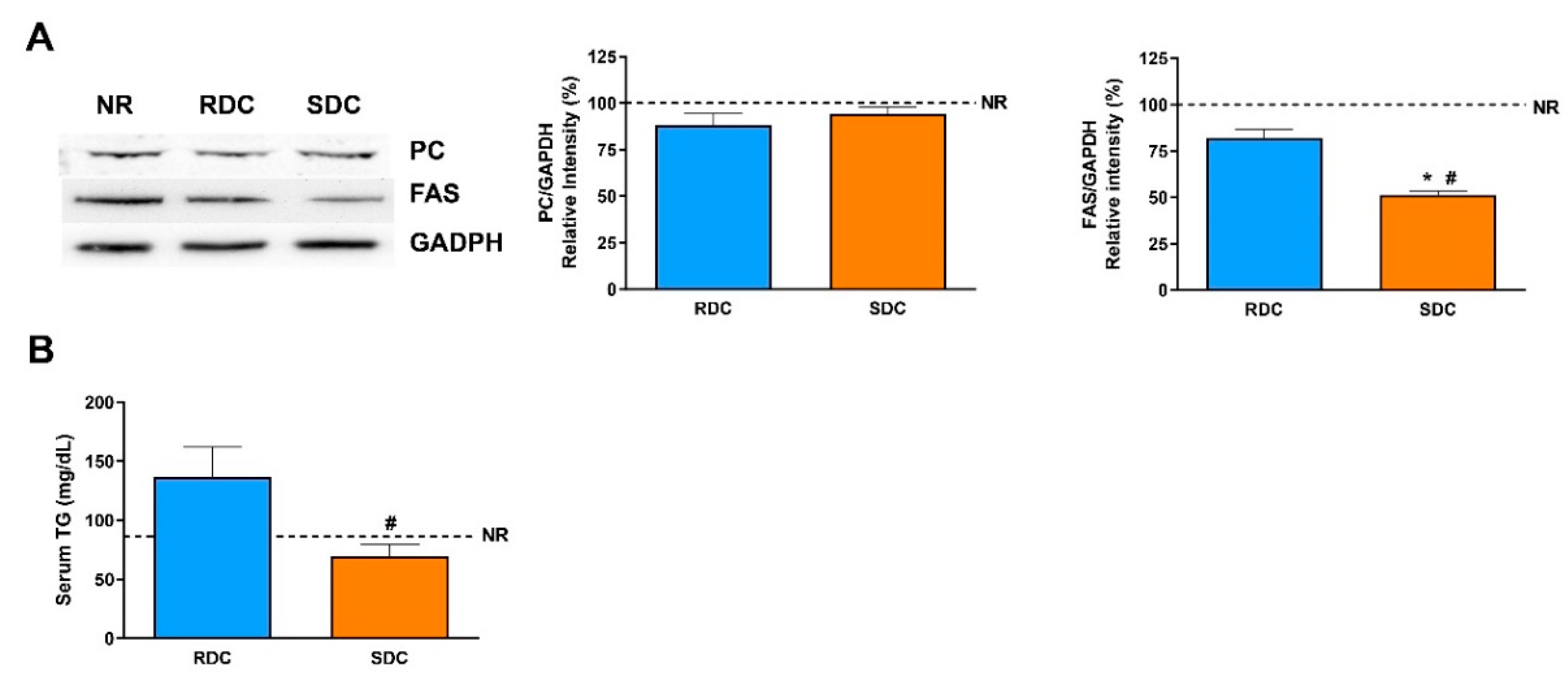 Nutrients 12 02568 g009