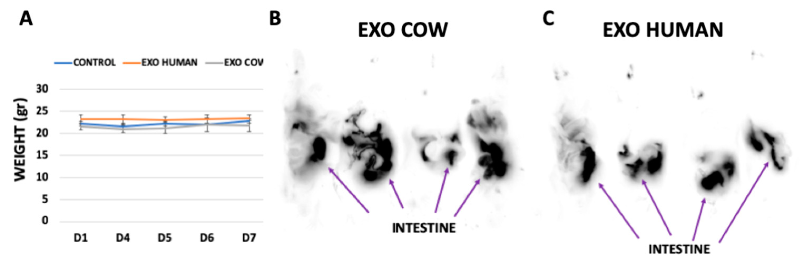 Nutrients 12 02589 g002