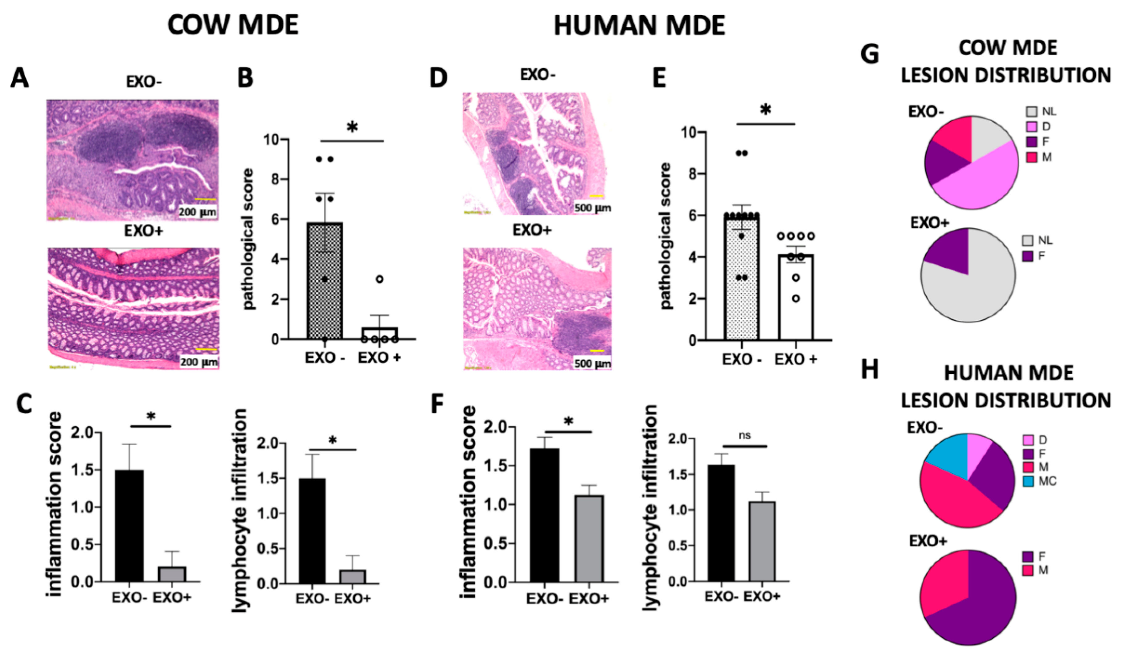 Nutrients 12 02589 g004