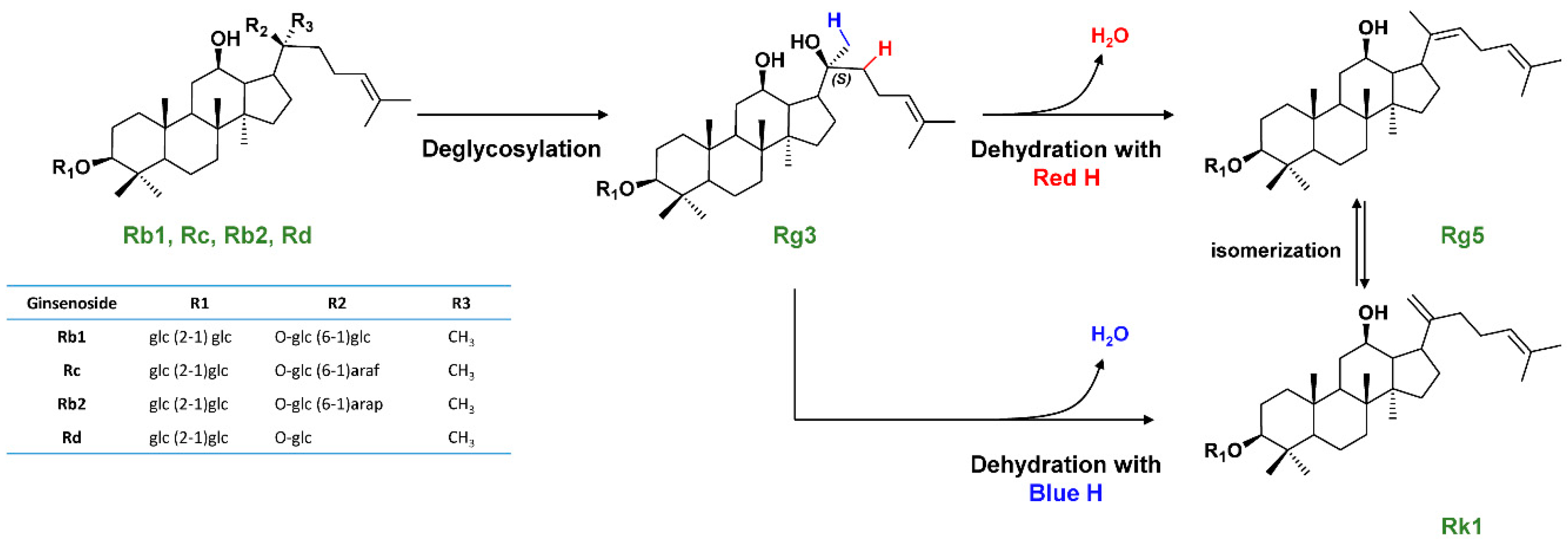 Nutrients 12 02590 g002 Nutrients 12 02590 g002