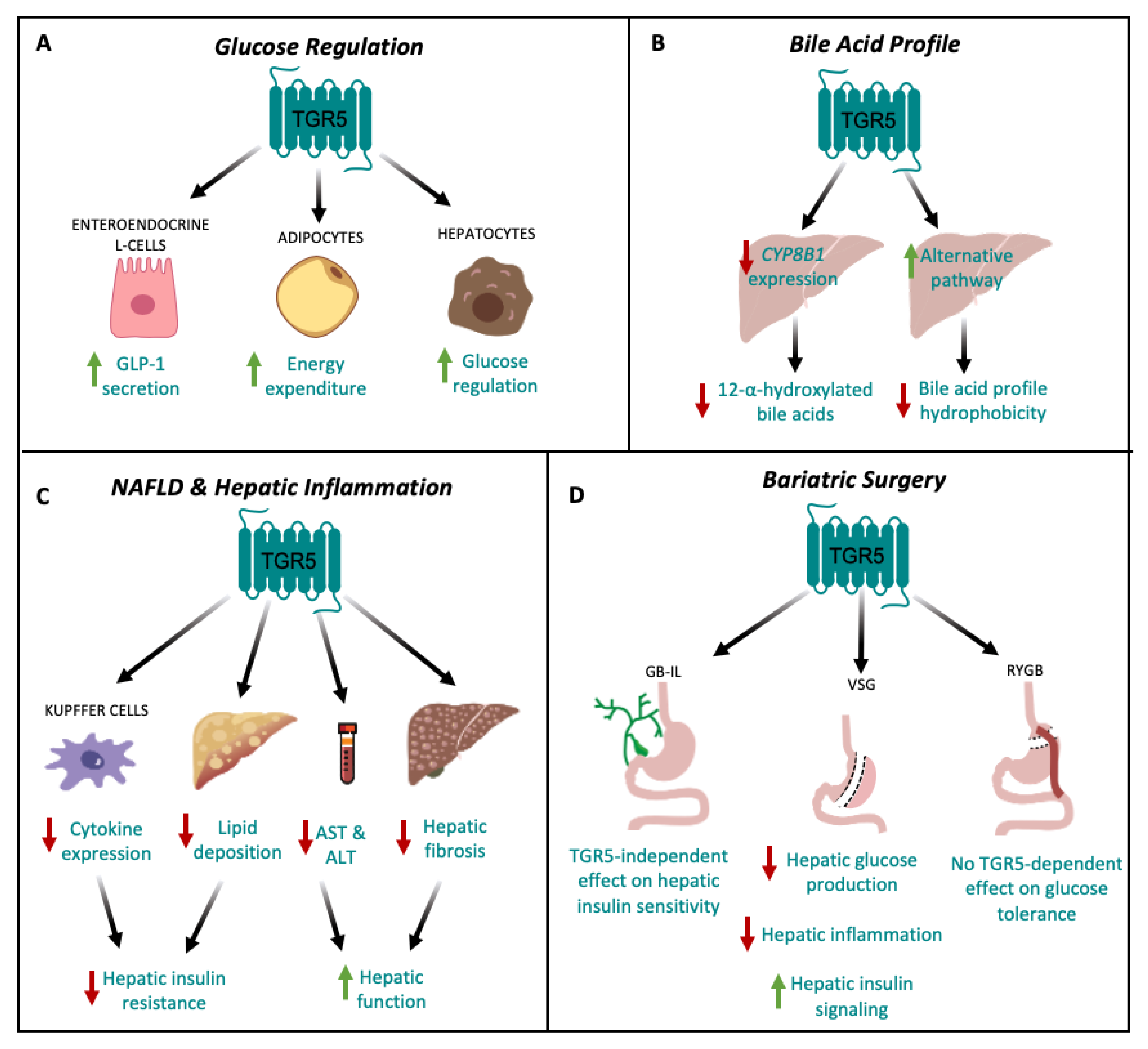Nutrients 12 02598 g002 Nutrients 12 02598 g002
