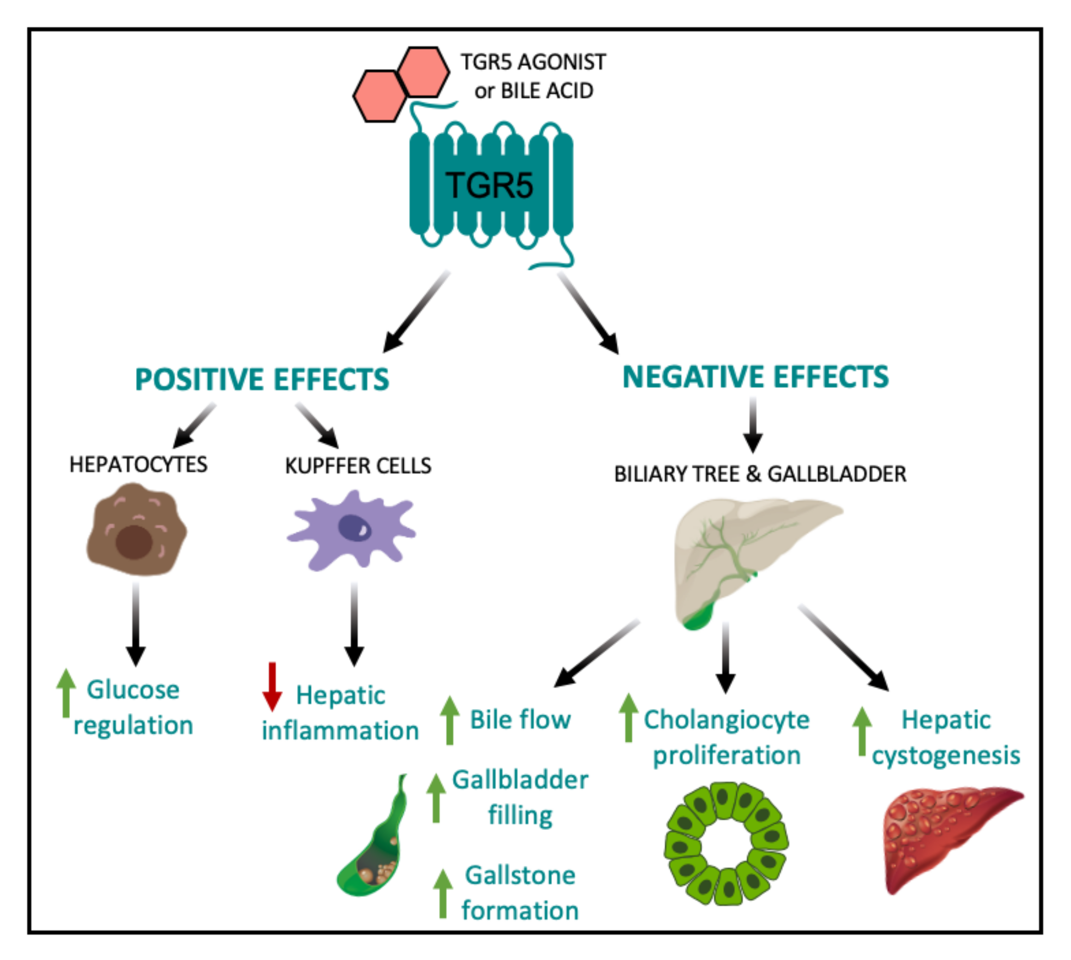 Nutrients 12 02598 g003 Nutrients 12 02598 g003