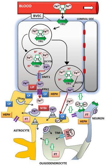 Nutrients 12 02601 g001 550