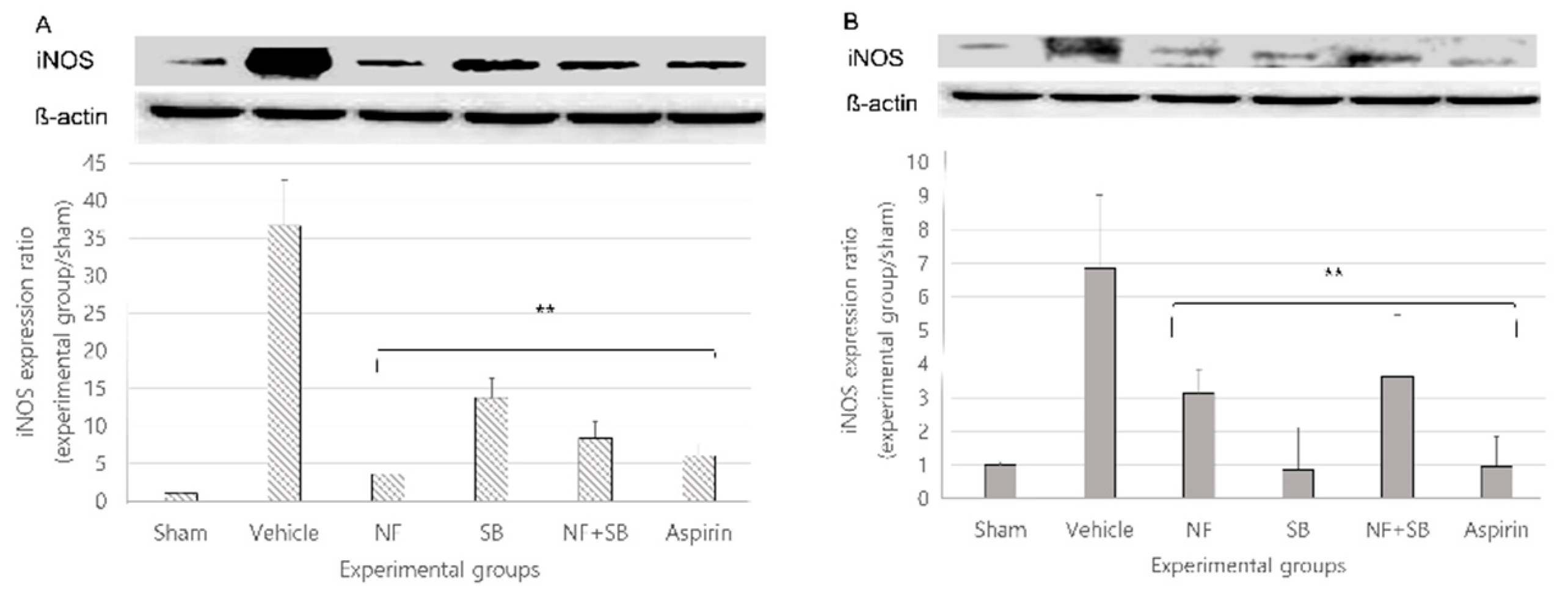 Nutrients 12 02618 g007 Nutrients 12 02618 g007