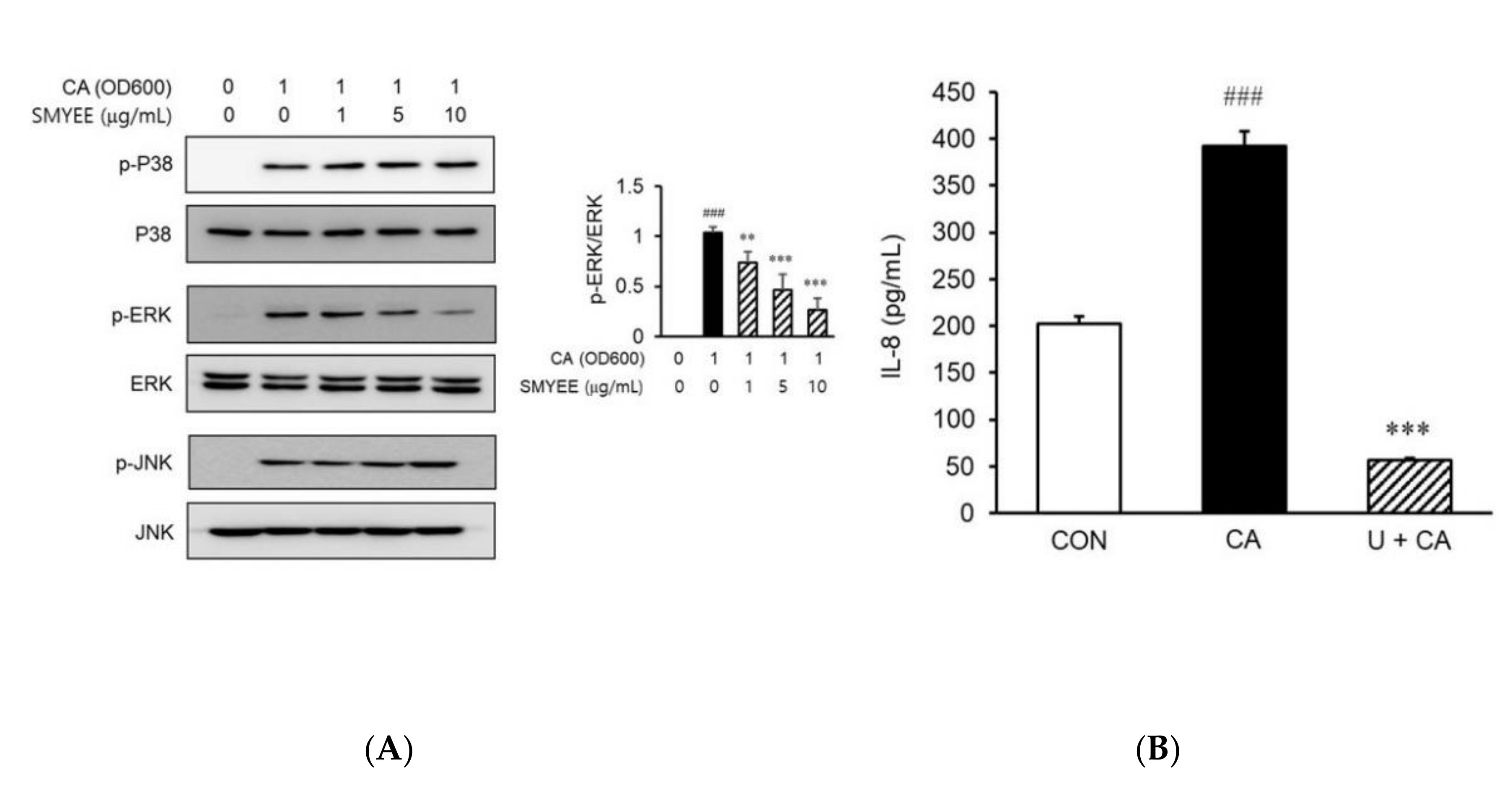 Nutrients 12 02620 g005 Nutrients 12 02620 g005